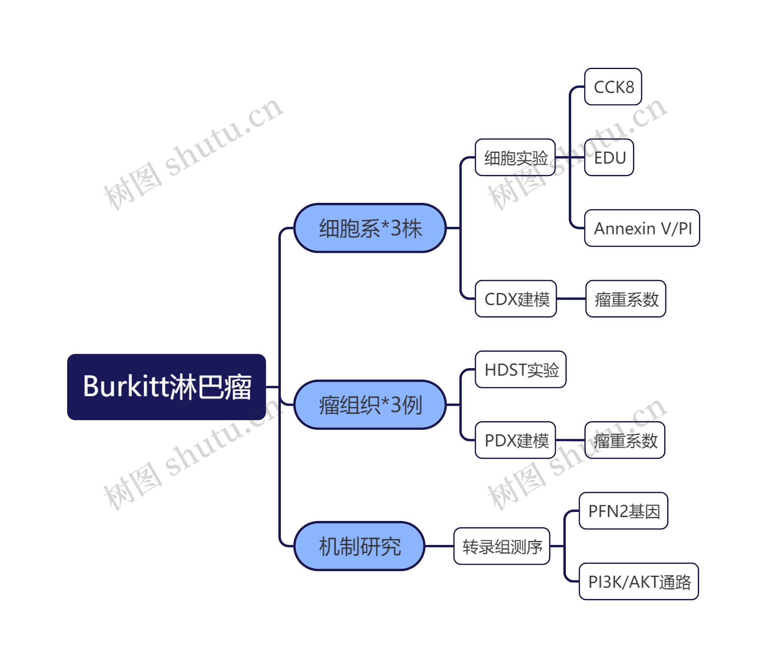 Burkitt淋巴瘤思维导图