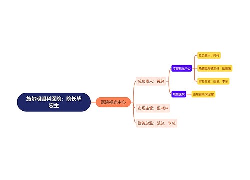 ﻿施尔明眼科医院组织架构图