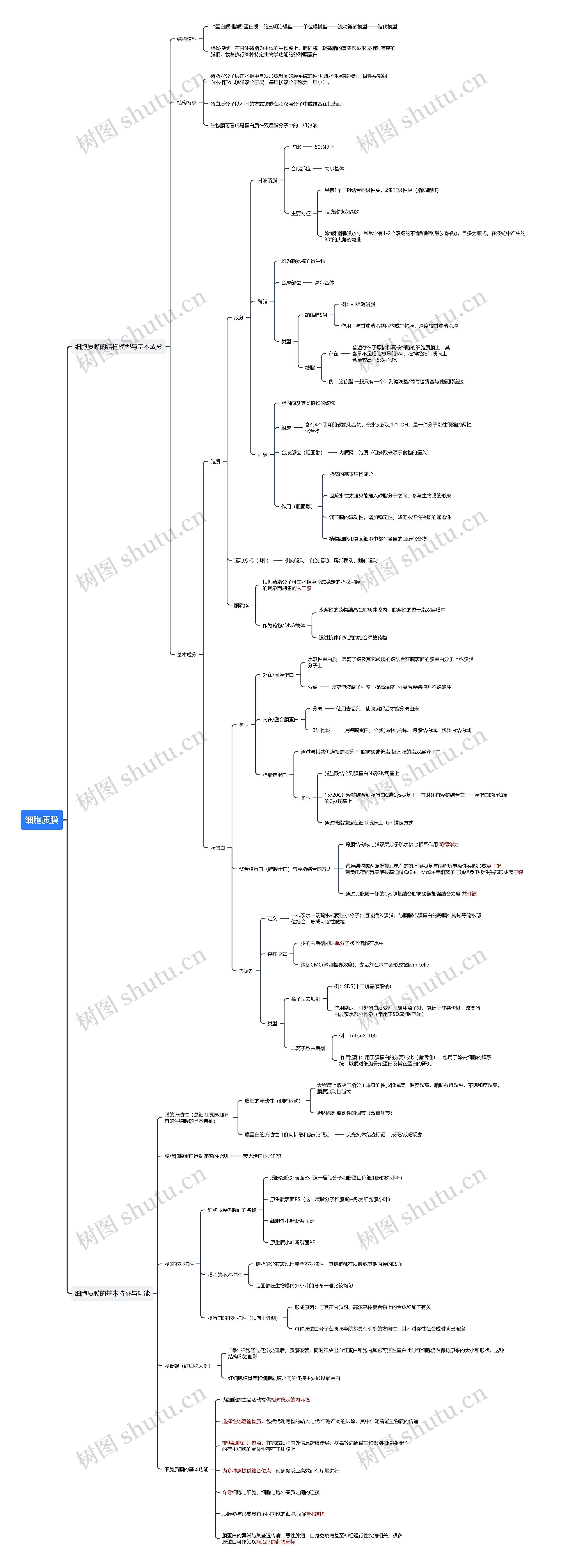 细胞质膜思维导图