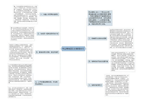 专业营销团队的管理技巧 