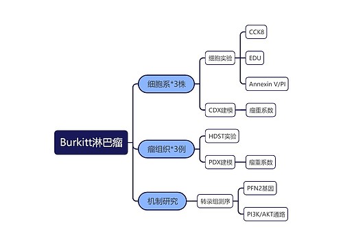 Burkitt淋巴瘤思维导图