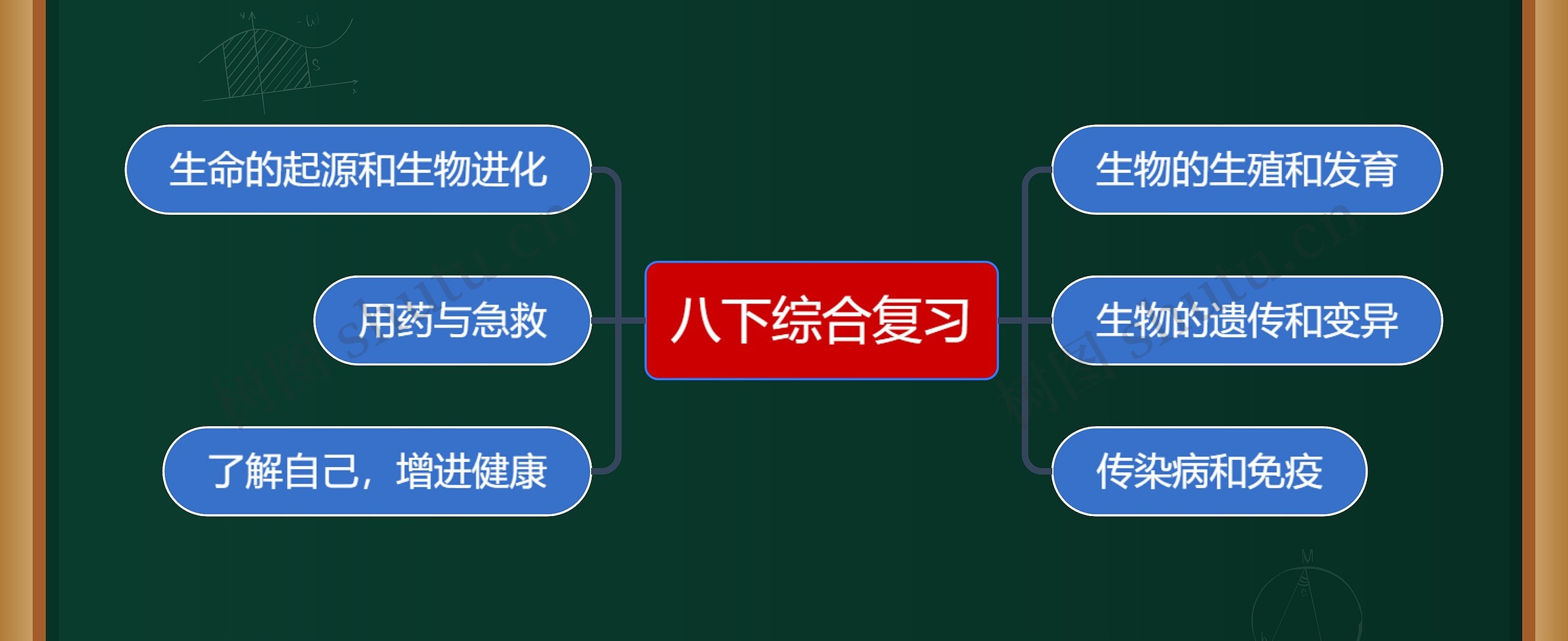 生物八下综合复习目录