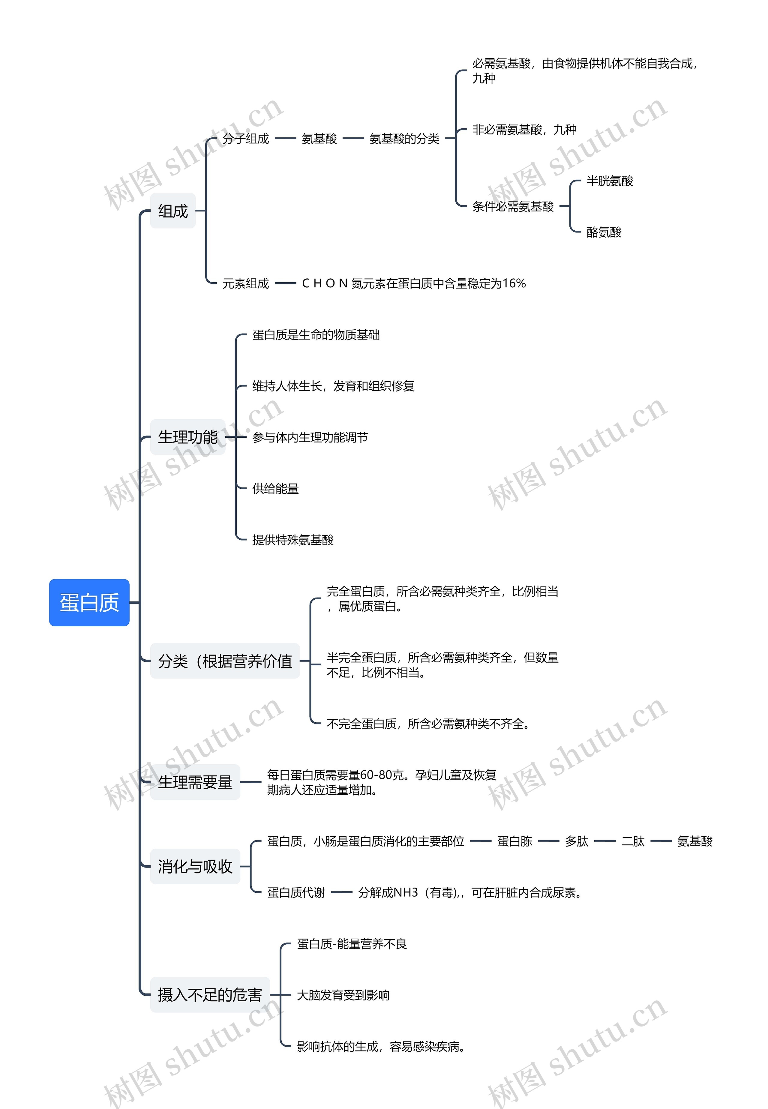 ﻿蛋白质