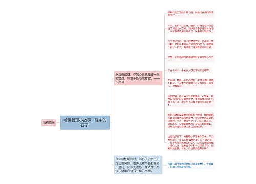 哈佛管理小故事：鞋中的石子 