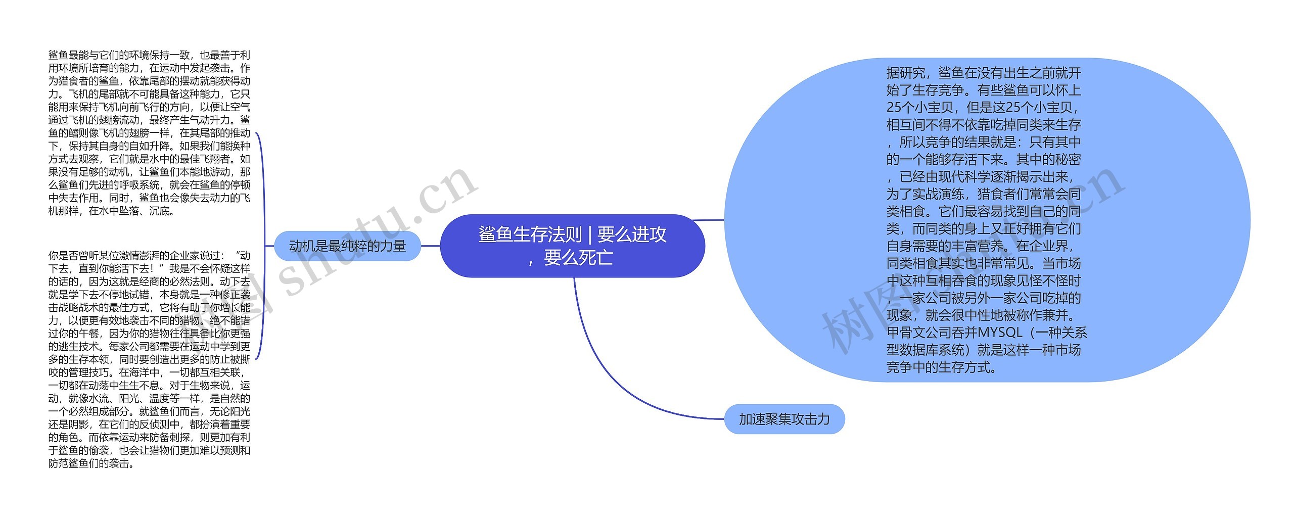 鲨鱼生存法则 | 要么进攻，要么死亡 