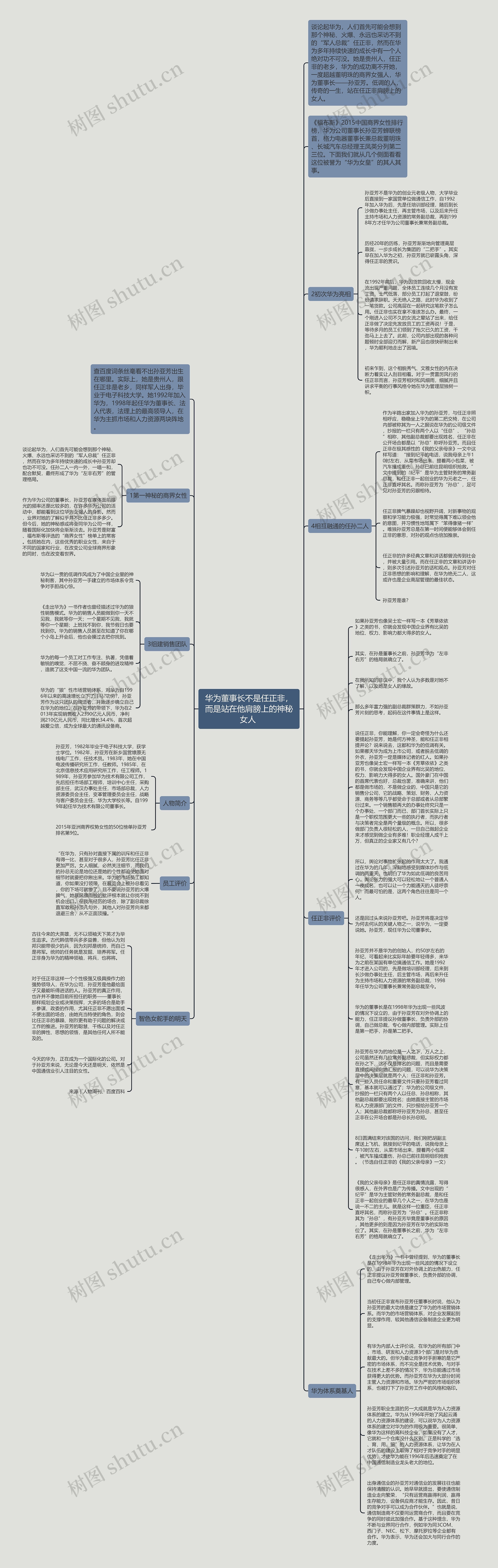 华为董事长不是任正非，而是站在他肩膀上的神秘女人 思维导图