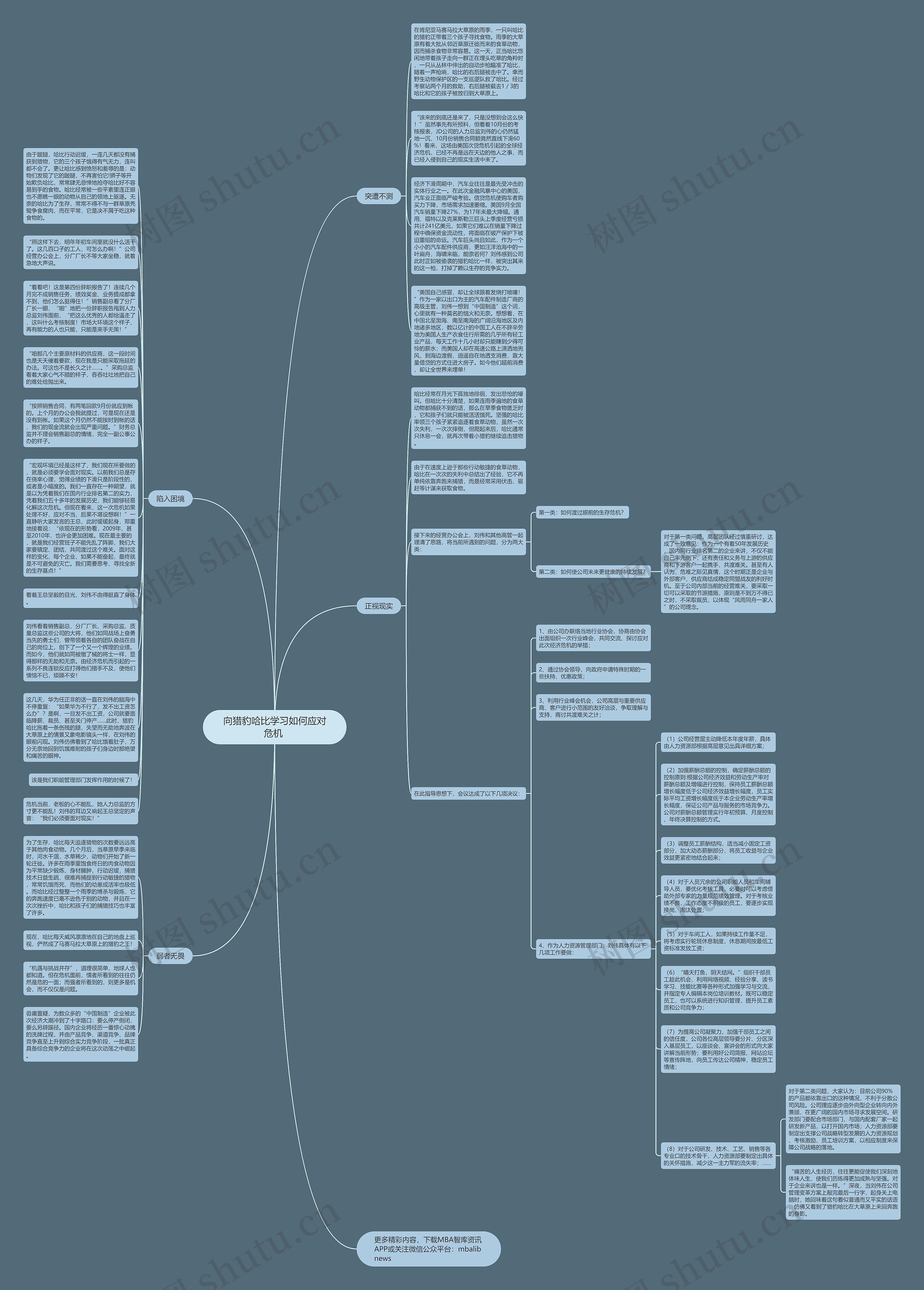 向猎豹哈比学习如何应对危机 思维导图