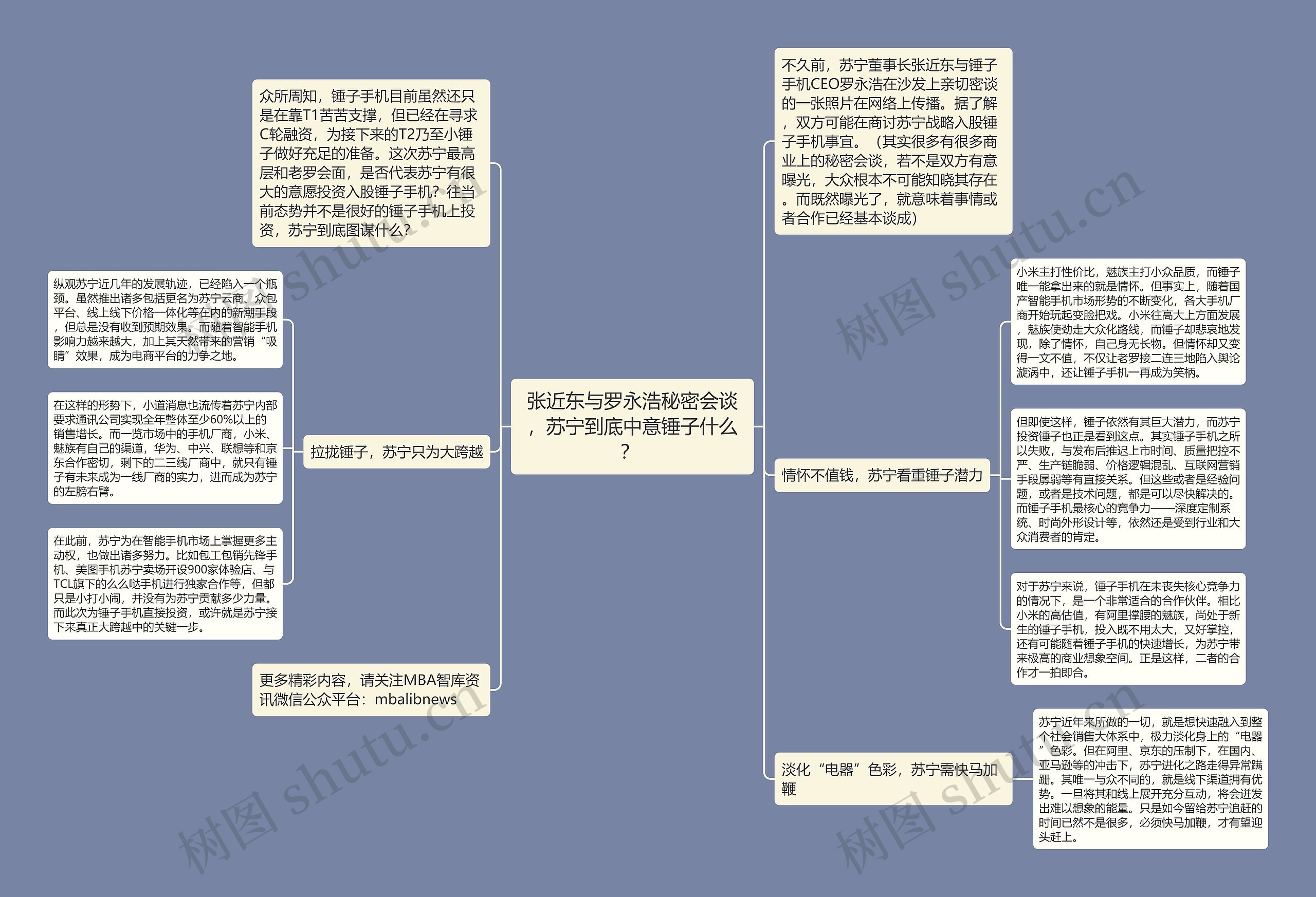 张近东与罗永浩秘密会谈，苏宁到底中意锤子什么？ 思维导图