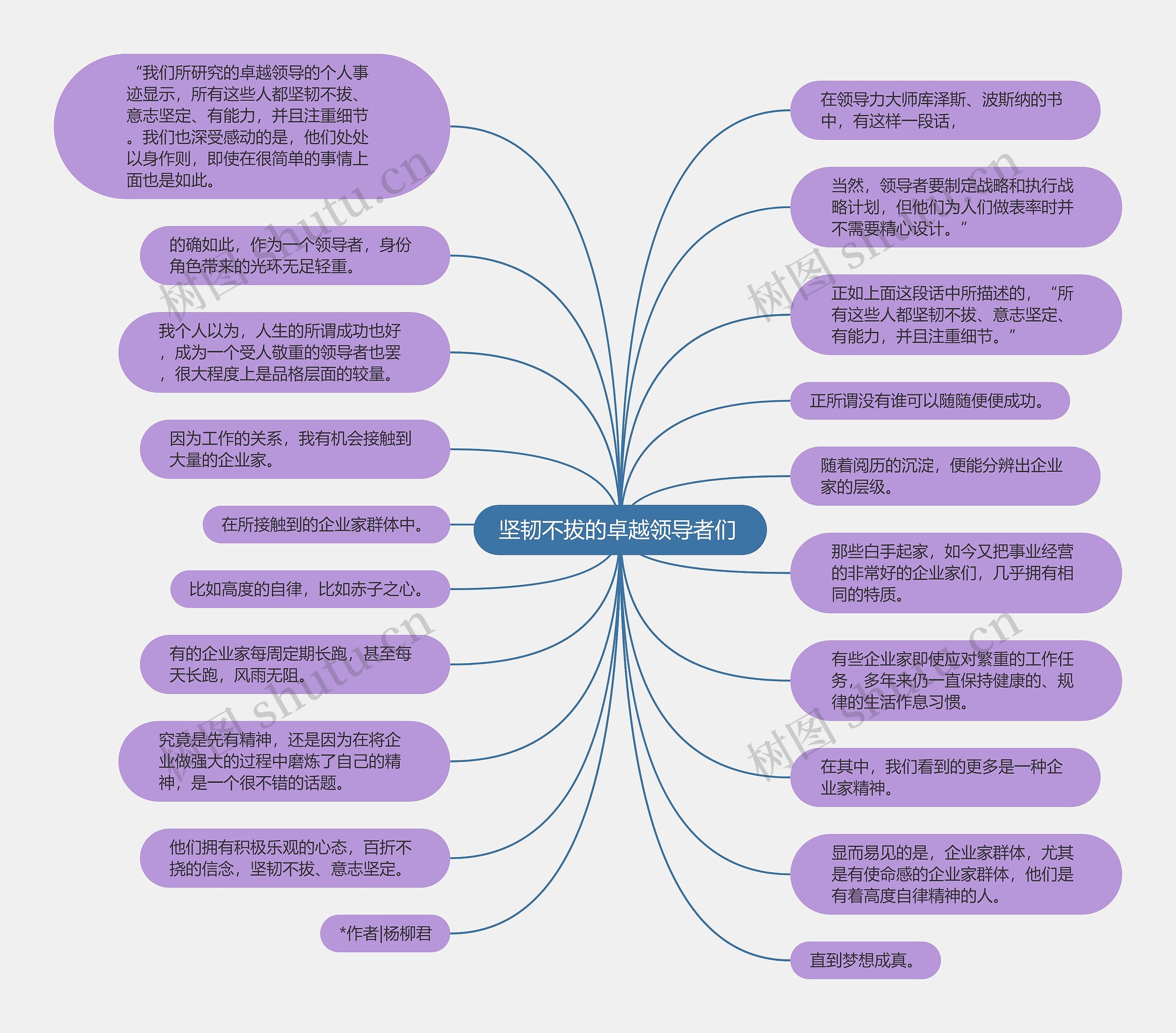 坚韧不拔的卓越领导者们 思维导图