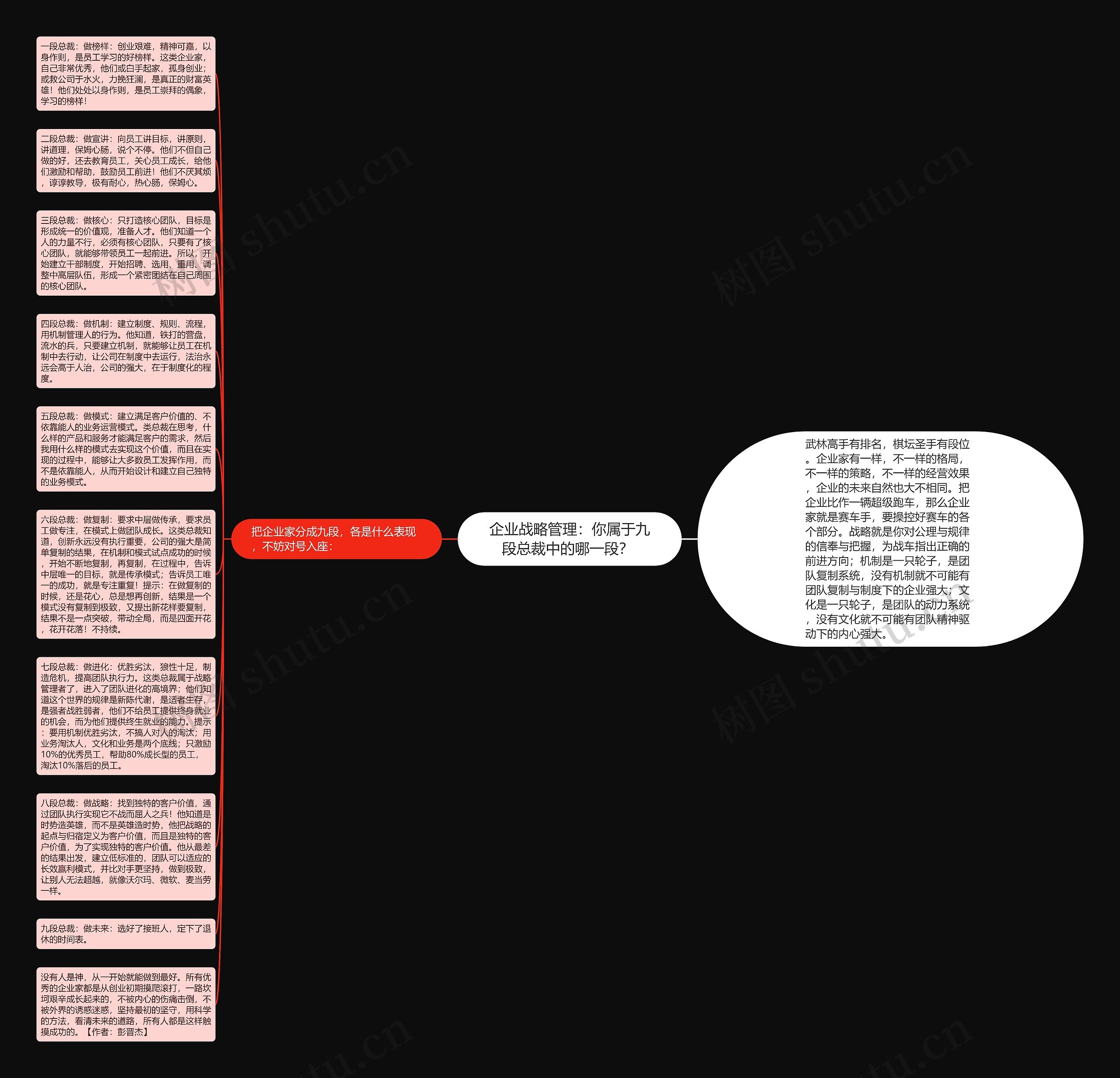 企业战略管理：你属于九段总裁中的哪一段？ 