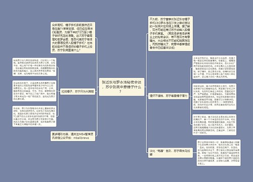 张近东与罗永浩秘密会谈，苏宁到底中意锤子什么？ 