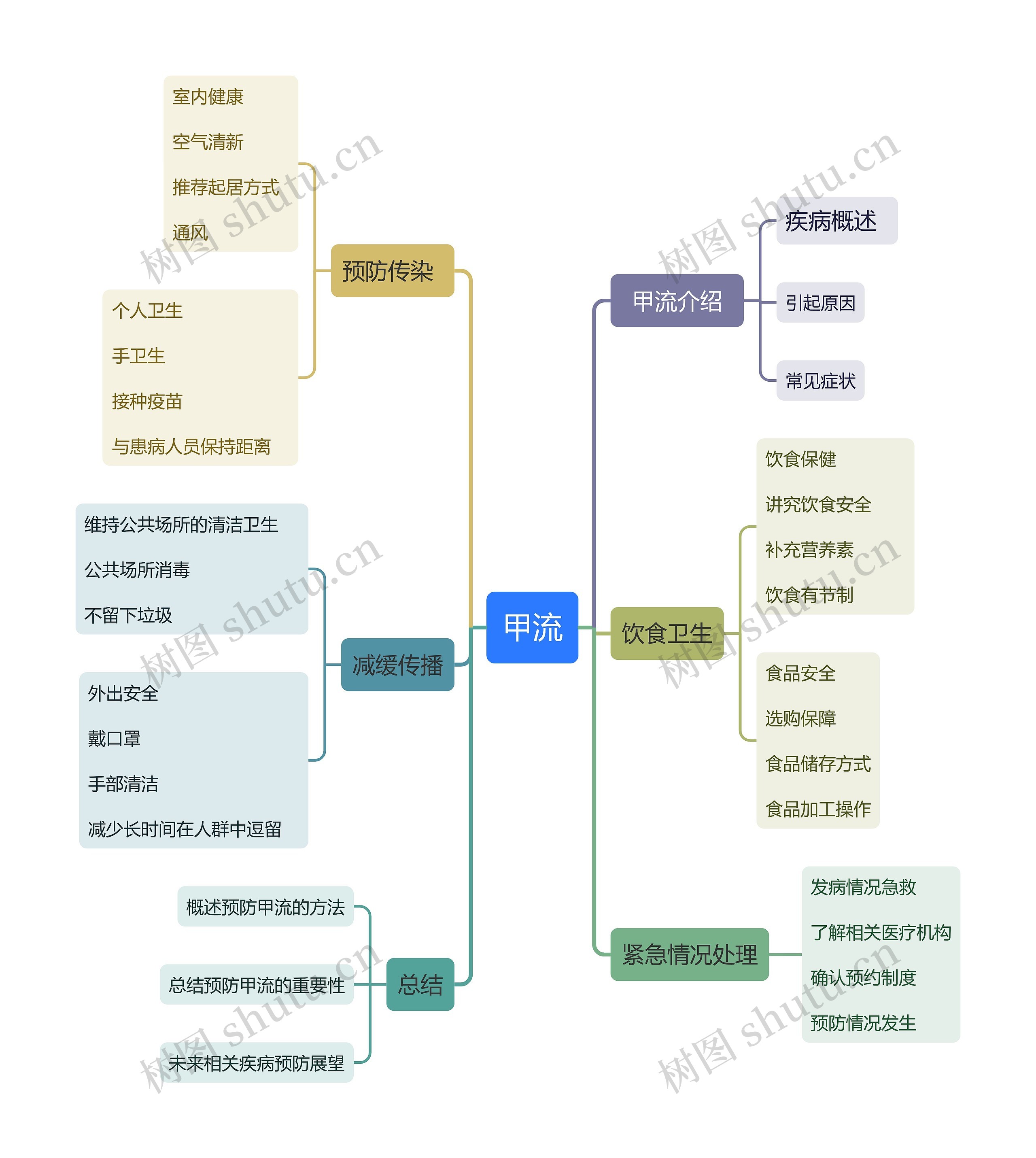 甲流思维导图