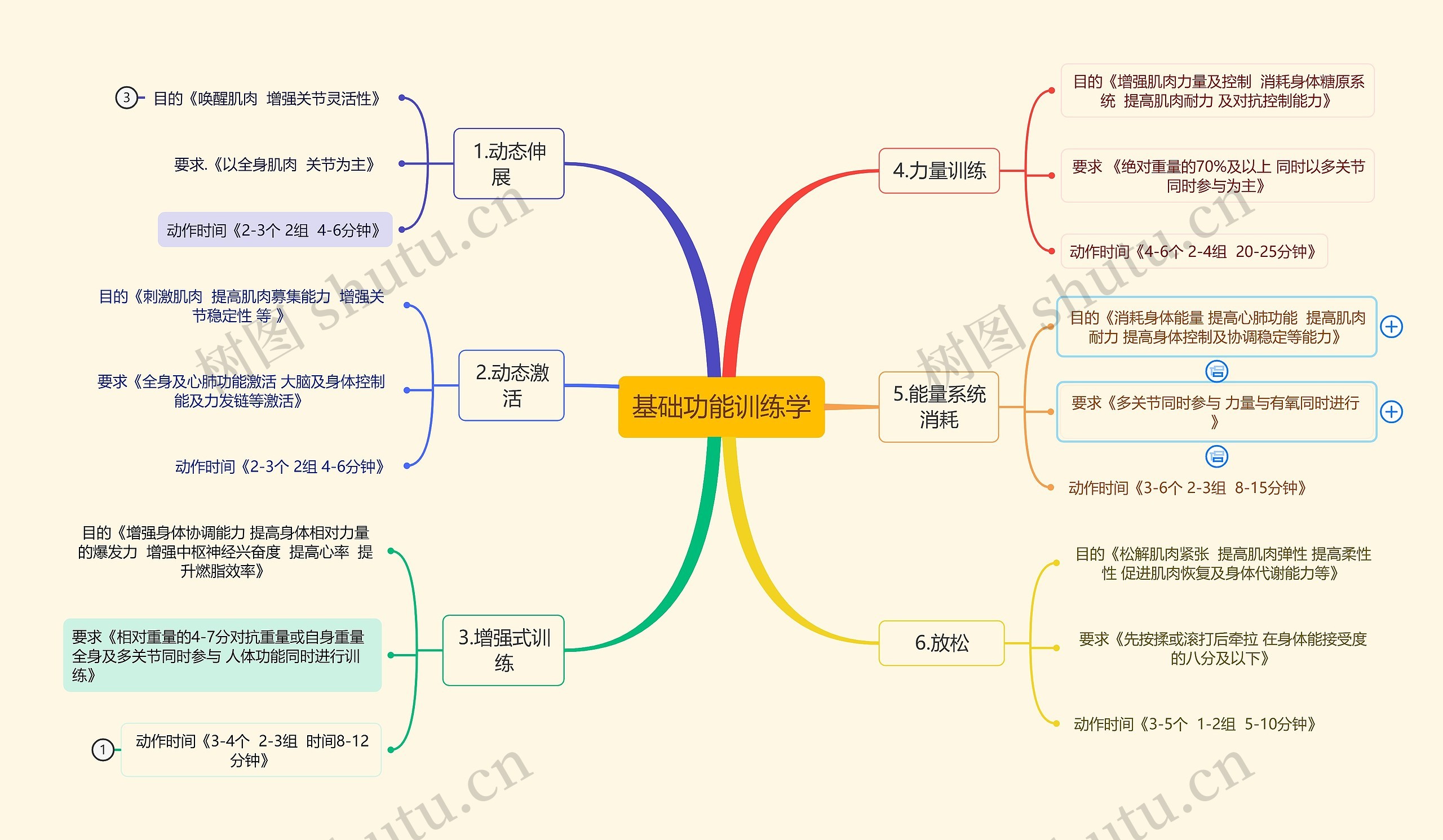 基础功能训练学