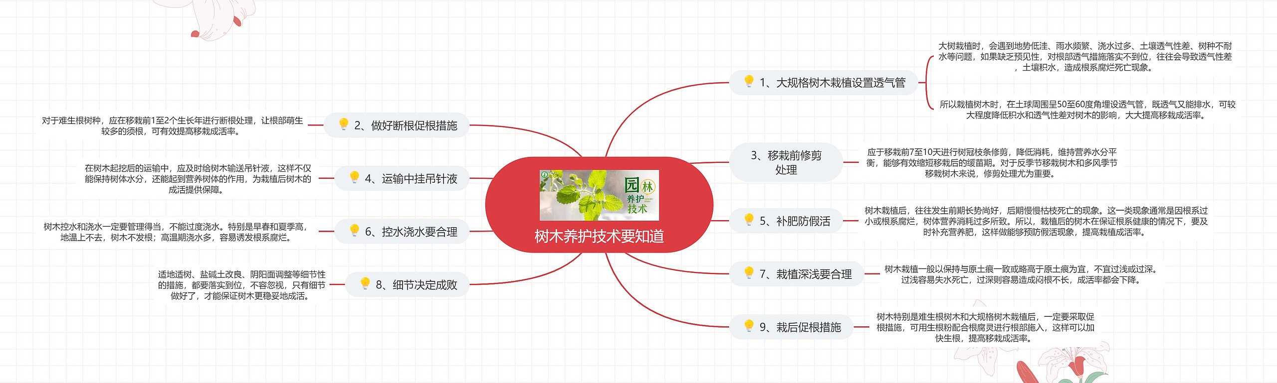 树木养护技术要知道
