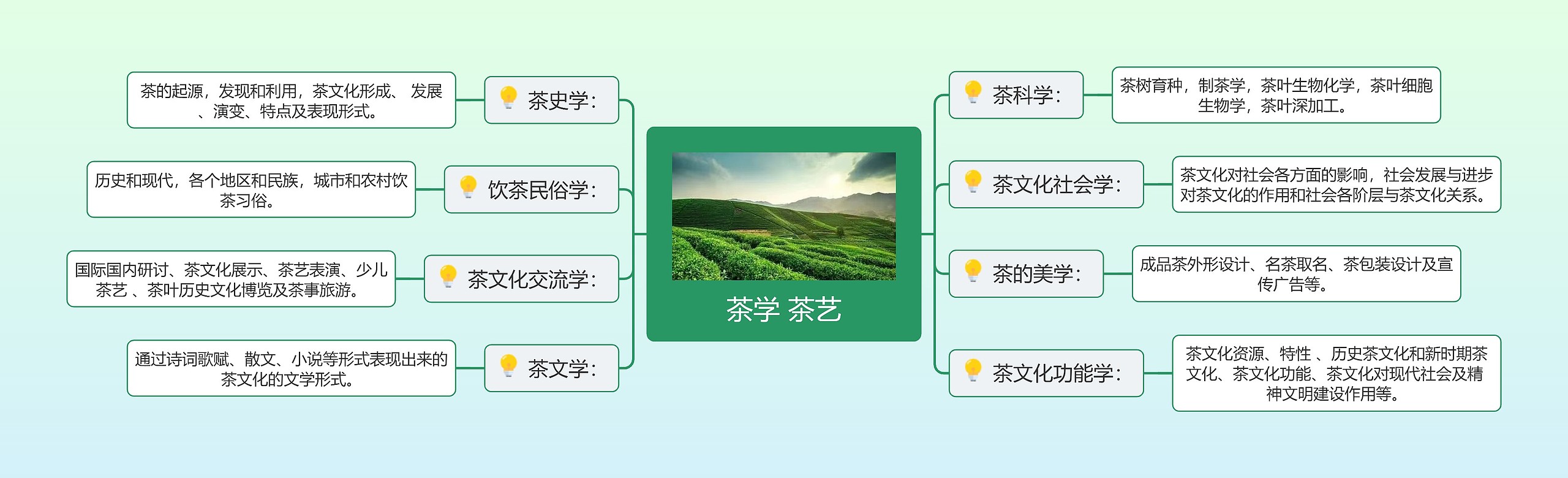 茶学 茶艺