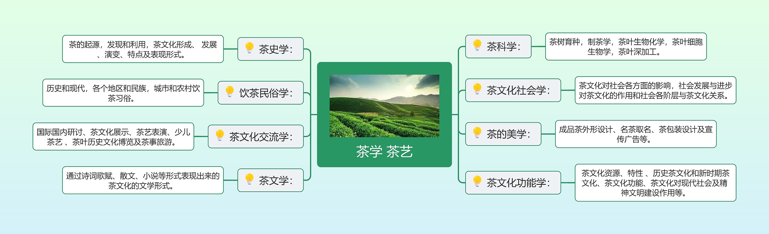 茶学 茶艺思维导图