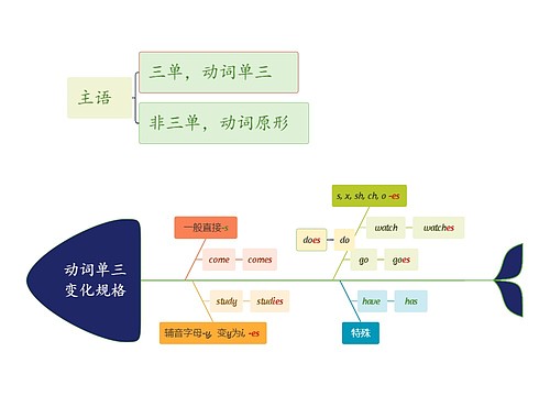 动词单三变化规格