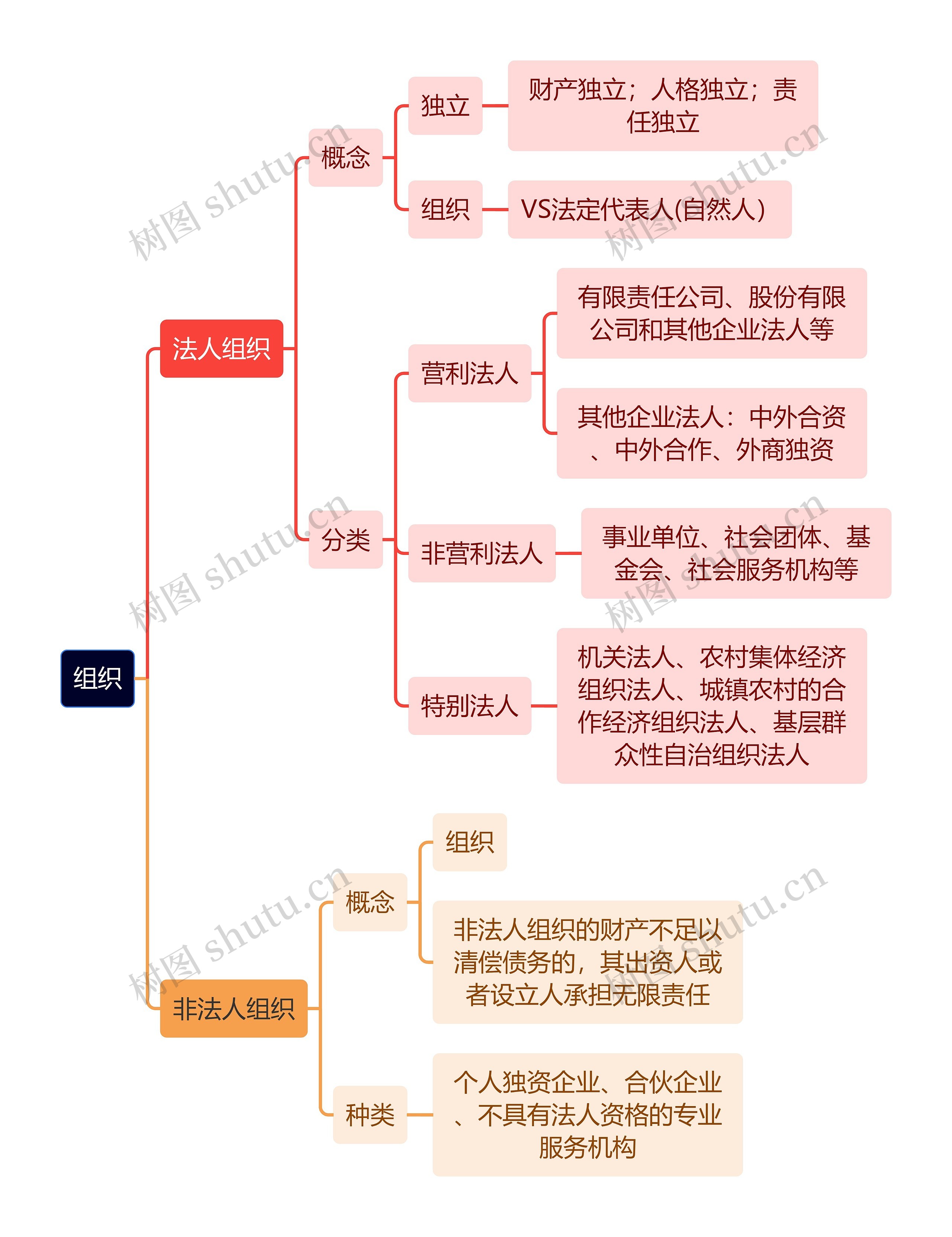 组织的分类思维导图