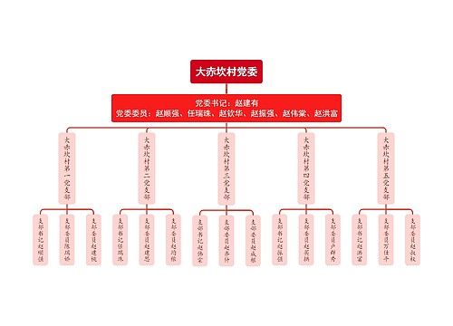 大赤坎村党委组织架构图