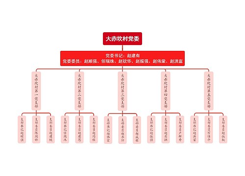 大赤坎村党委组织架构图