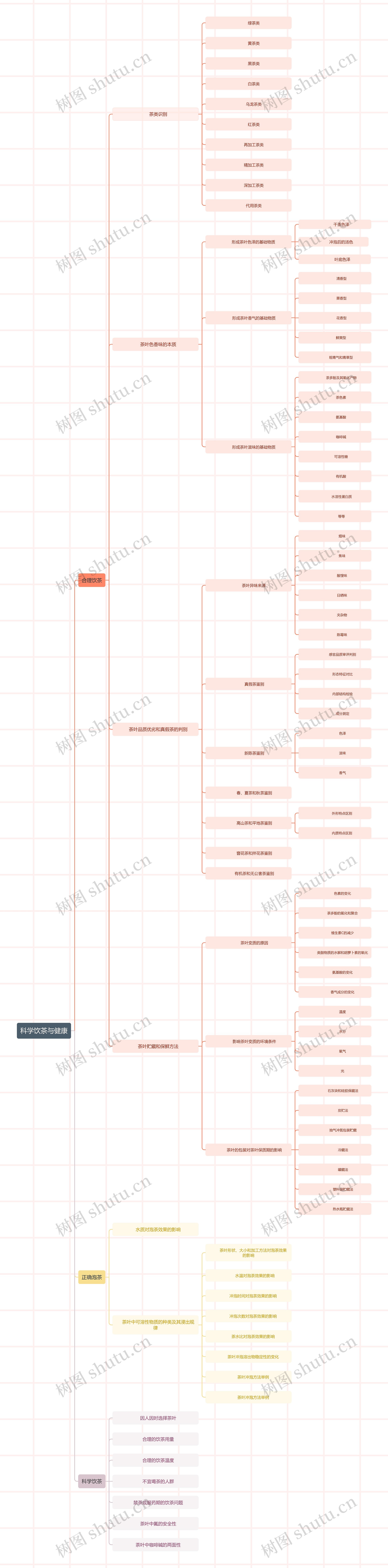 科学饮茶与健康思维导图