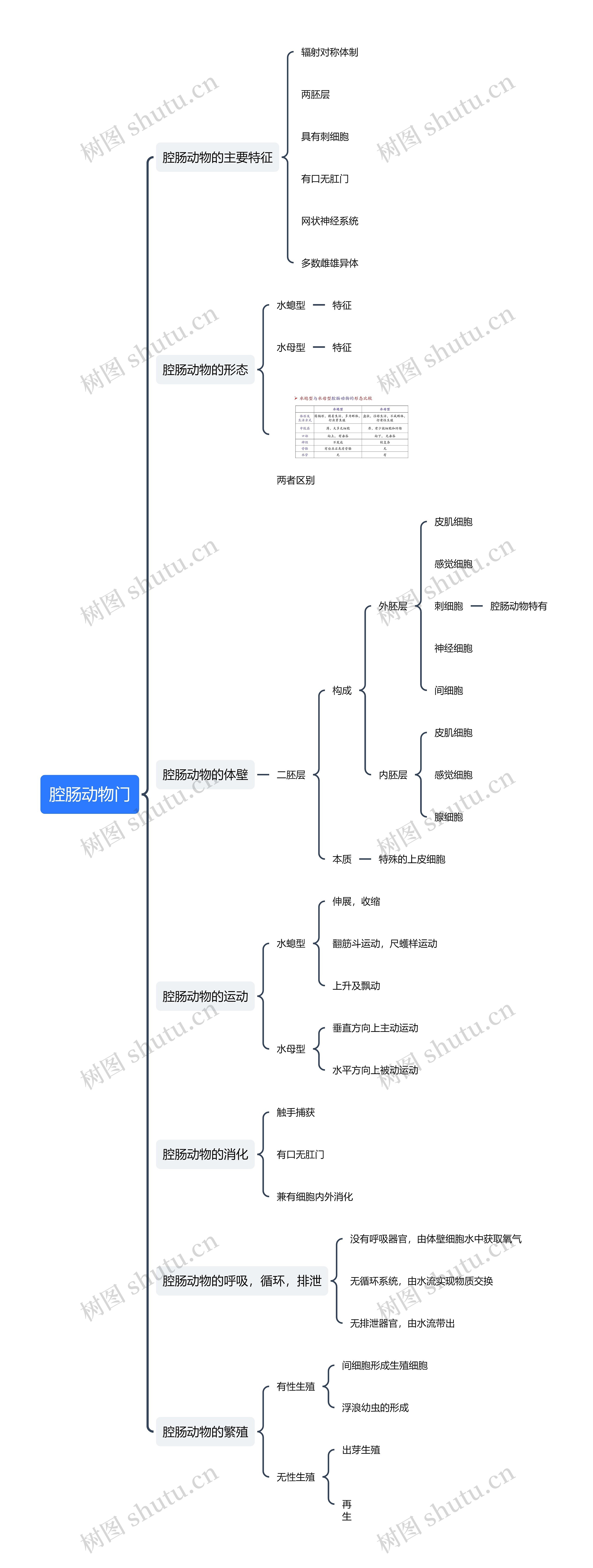 腔肠动物门思维导图