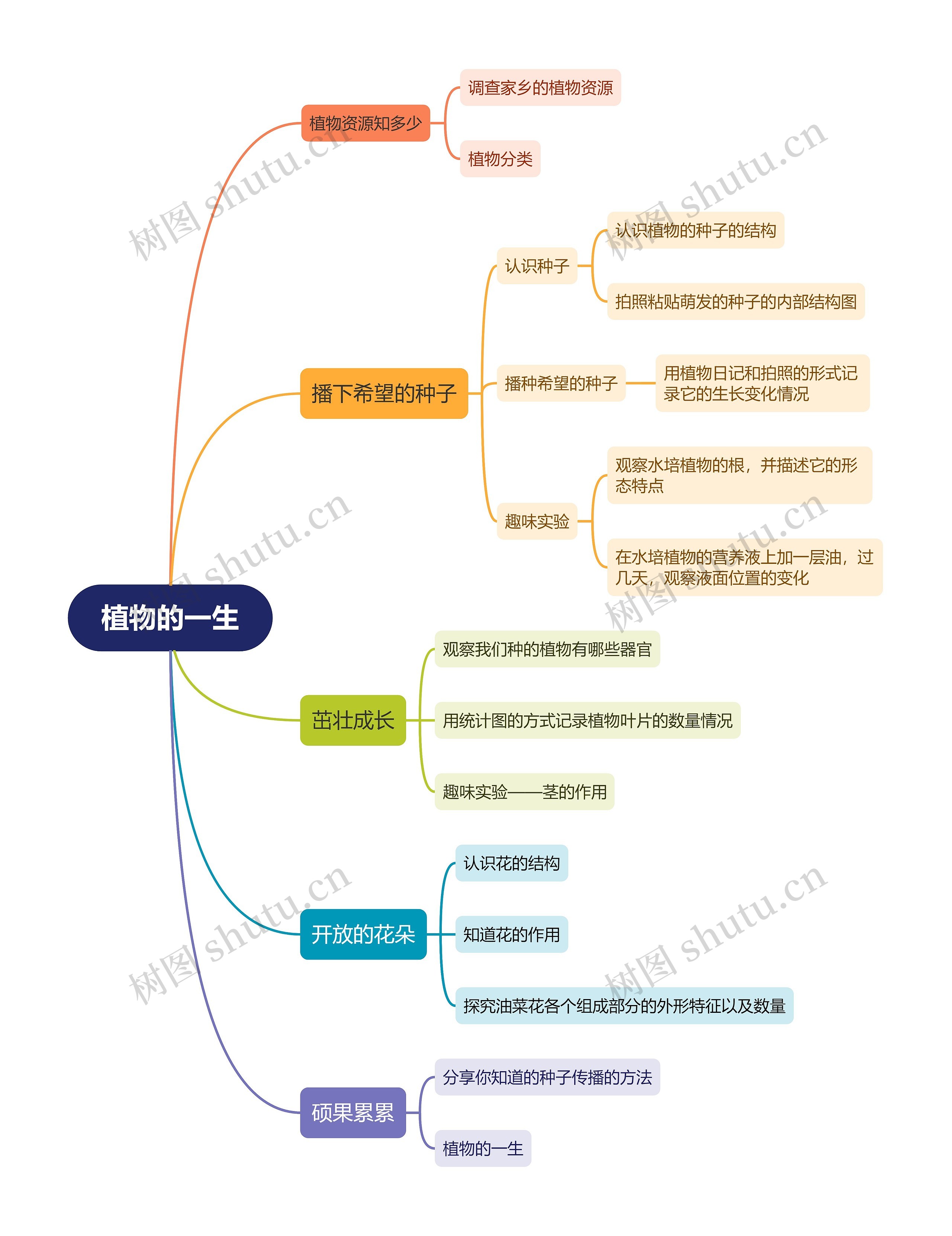 植物的一生思维导图