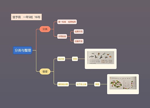 分类与整理