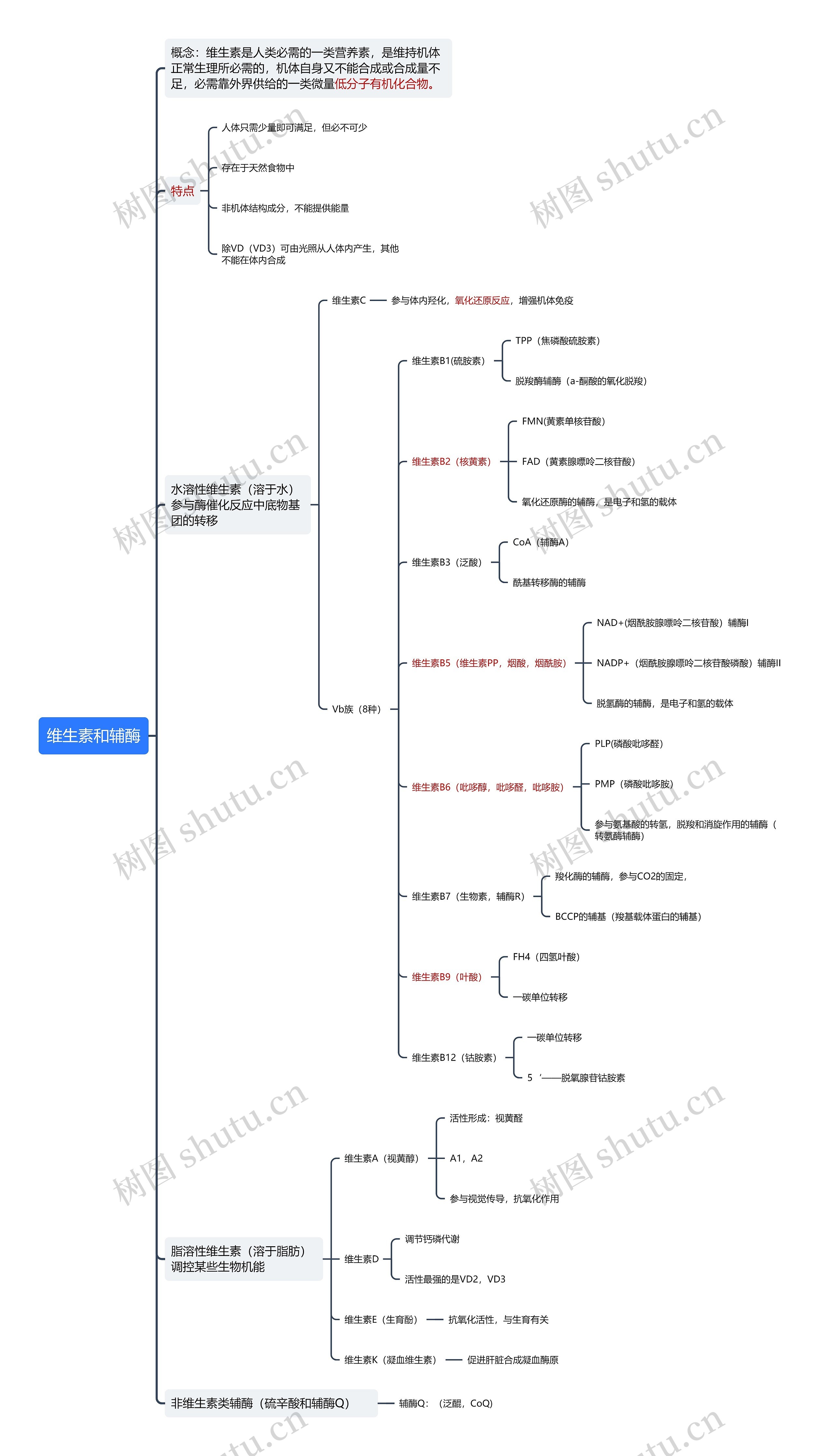 ﻿维生素和辅酶思维导图