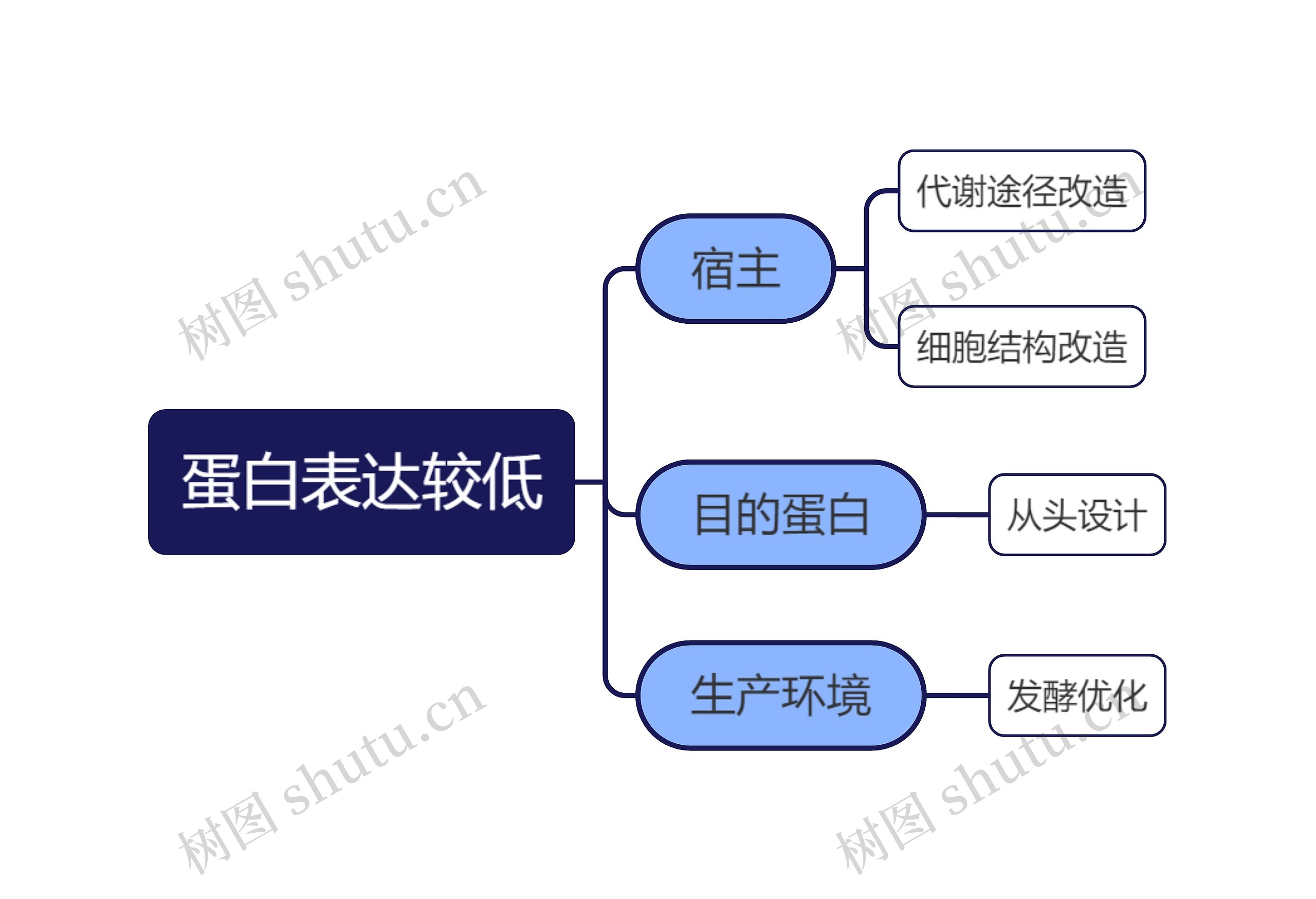 蛋白表达较低