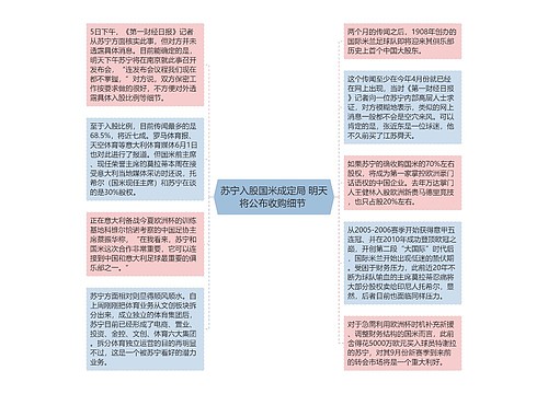 苏宁入股国米成定局 明天将公布收购细节 