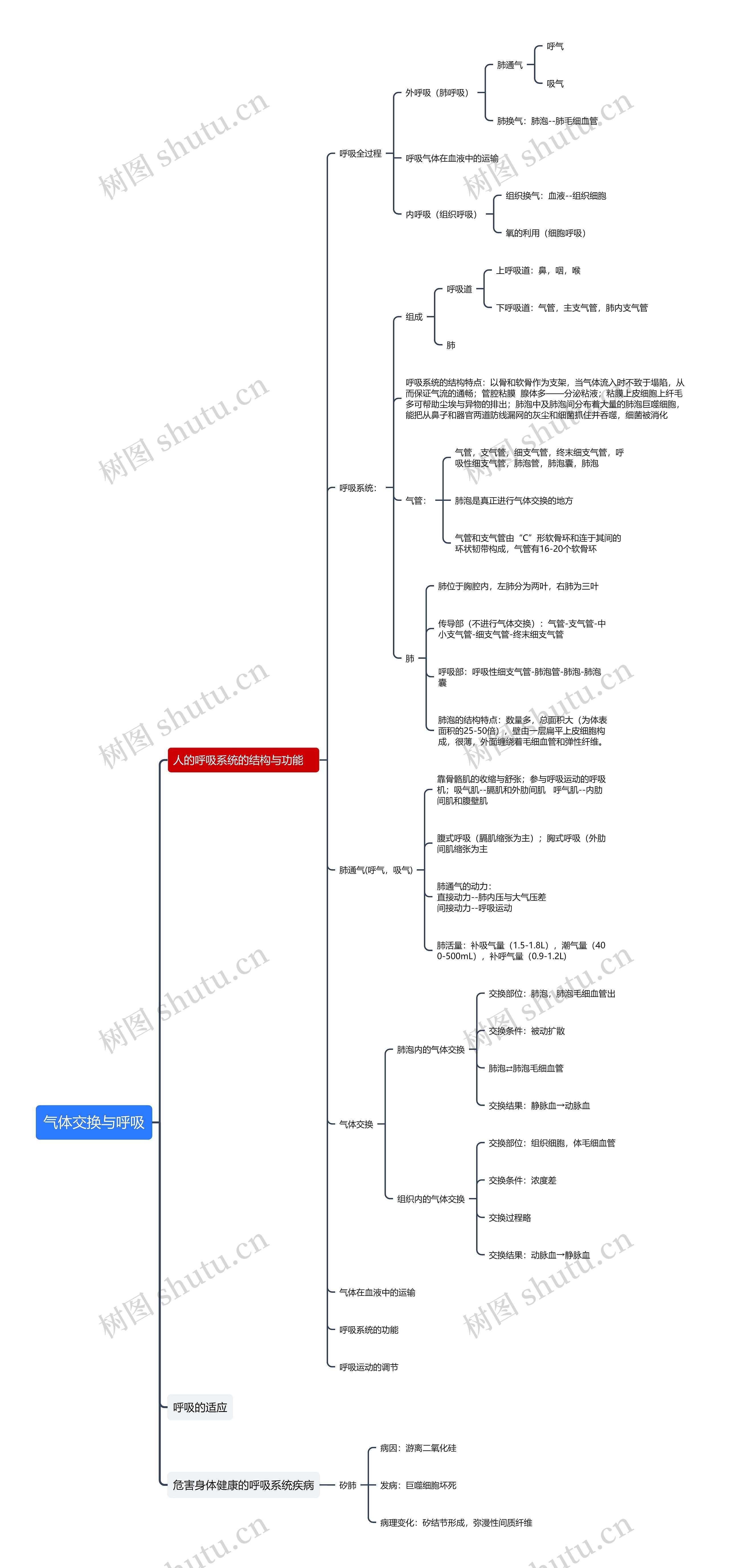 气体交换与呼吸知识点思维导图