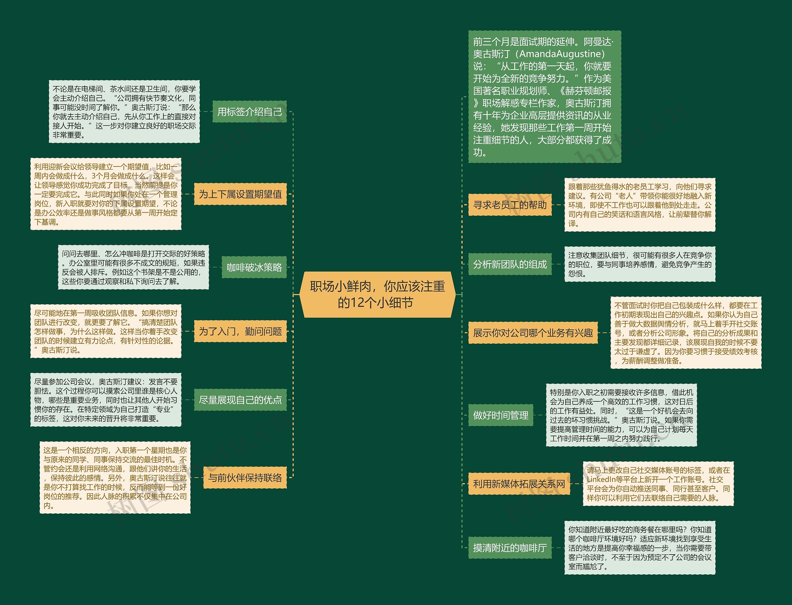 职场小鲜肉，你应该注重的12个小细节 思维导图