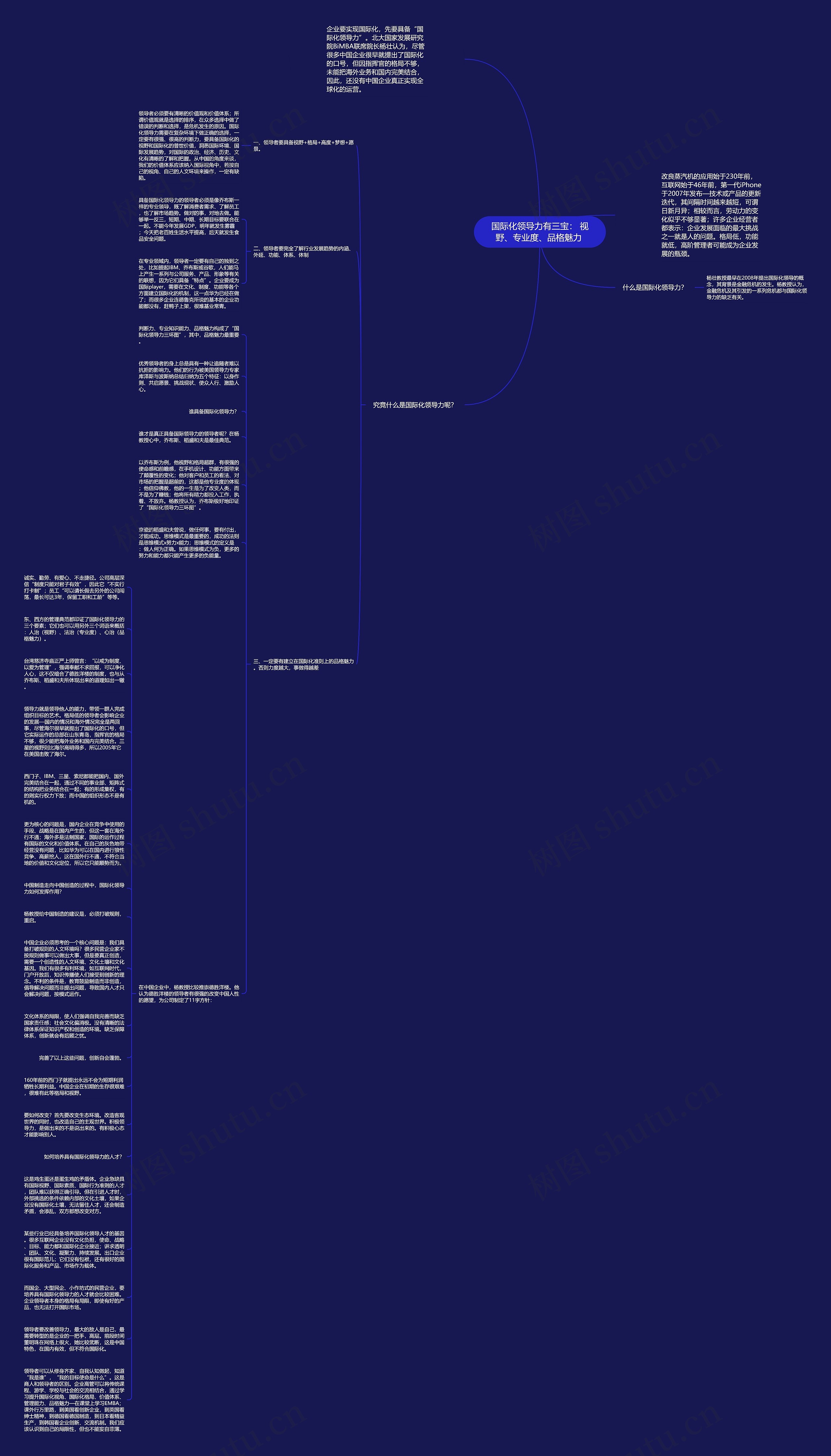 国际化领导力有三宝： 视野、专业度、品格魅力 思维导图