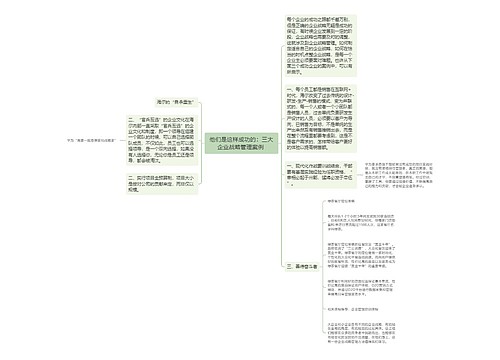 他们是这样成功的：三大企业战略管理案例 