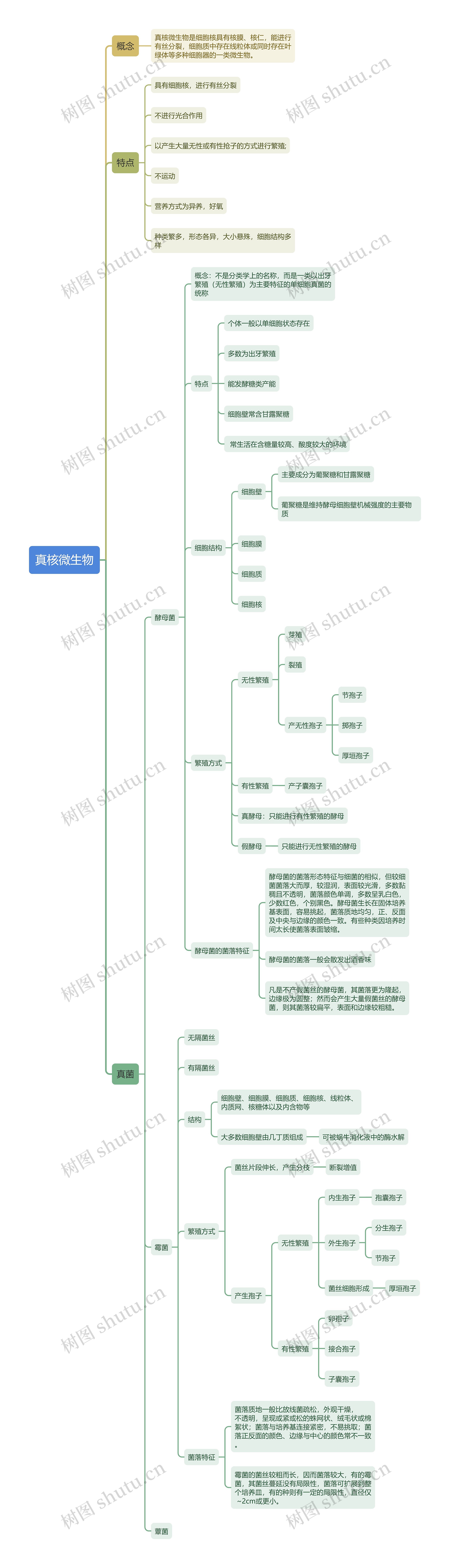 真核微生物思维导图