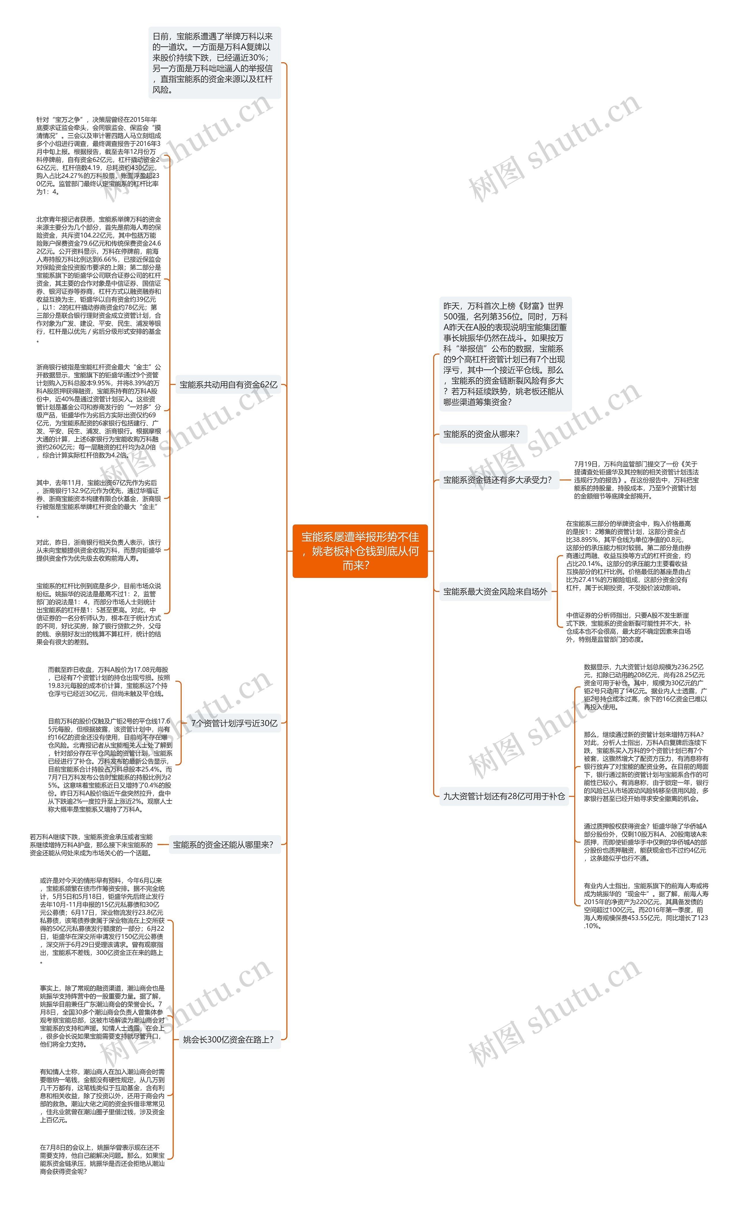 宝能系屡遭举报形势不佳，姚老板补仓钱到底从何而来？ 思维导图
