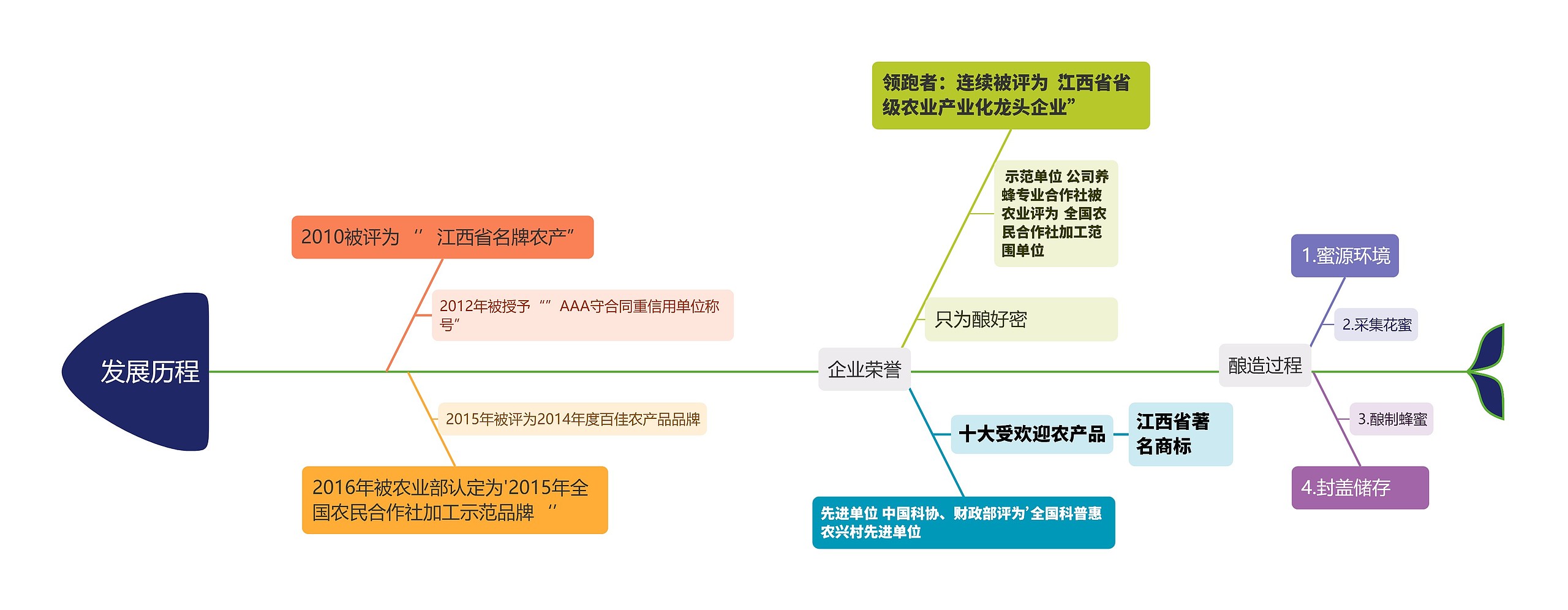 发展历程思维导图