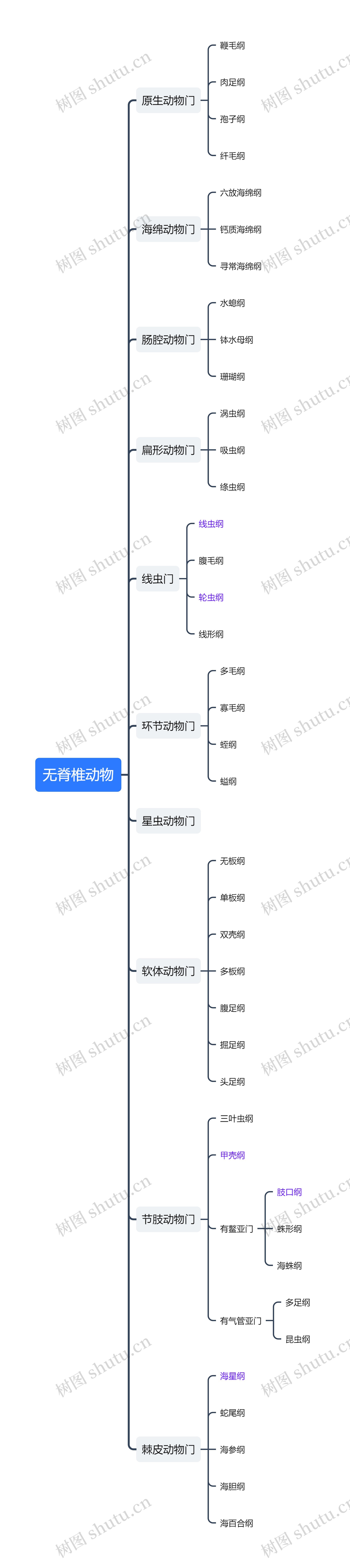 无脊椎动物思维导图