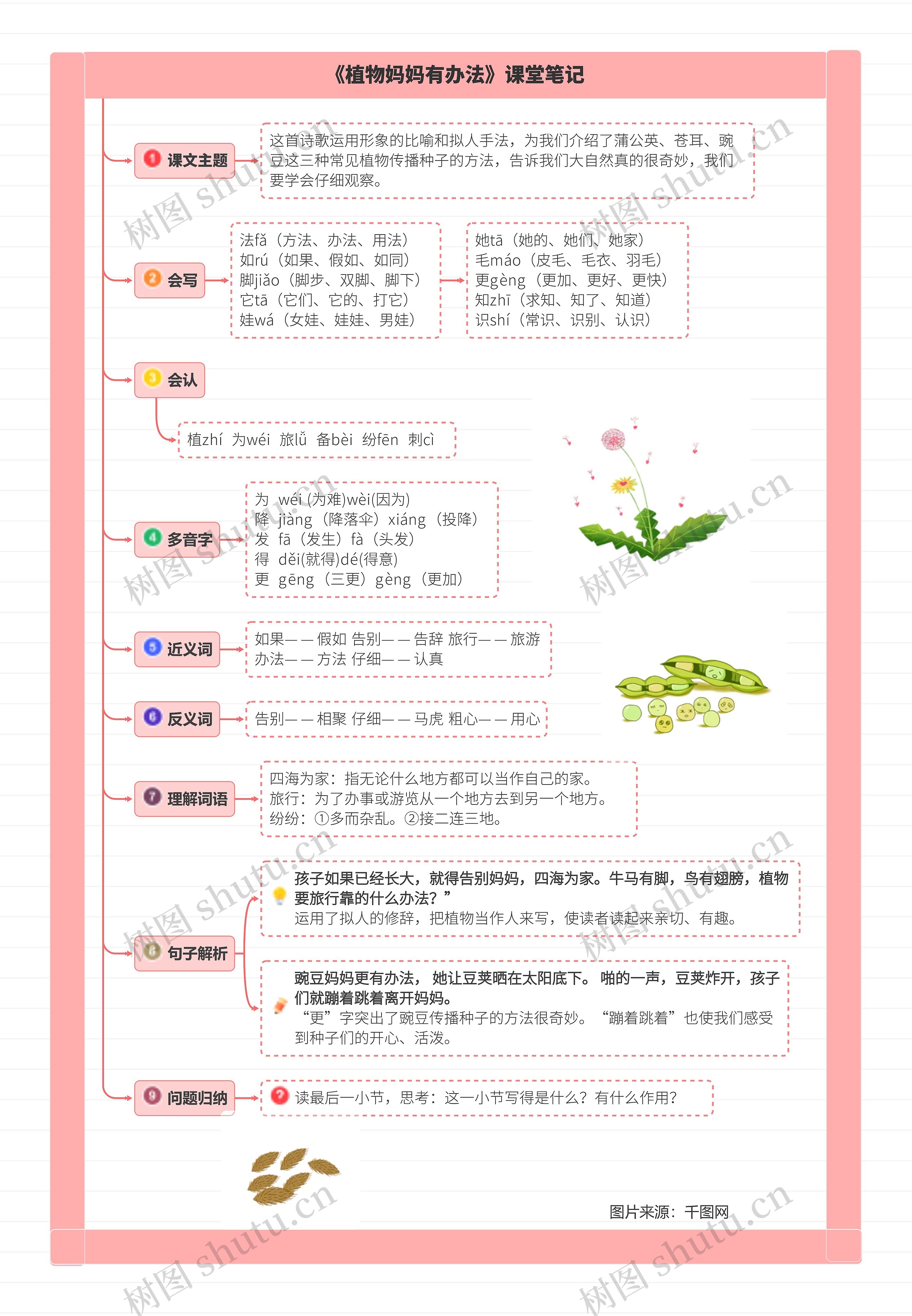 小学语文二年级上册第三课《植物妈妈有办法》课堂笔记