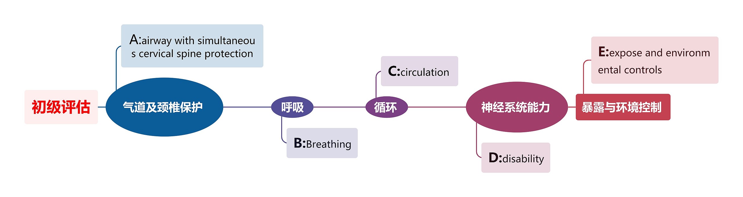 身体初级评估思维导图