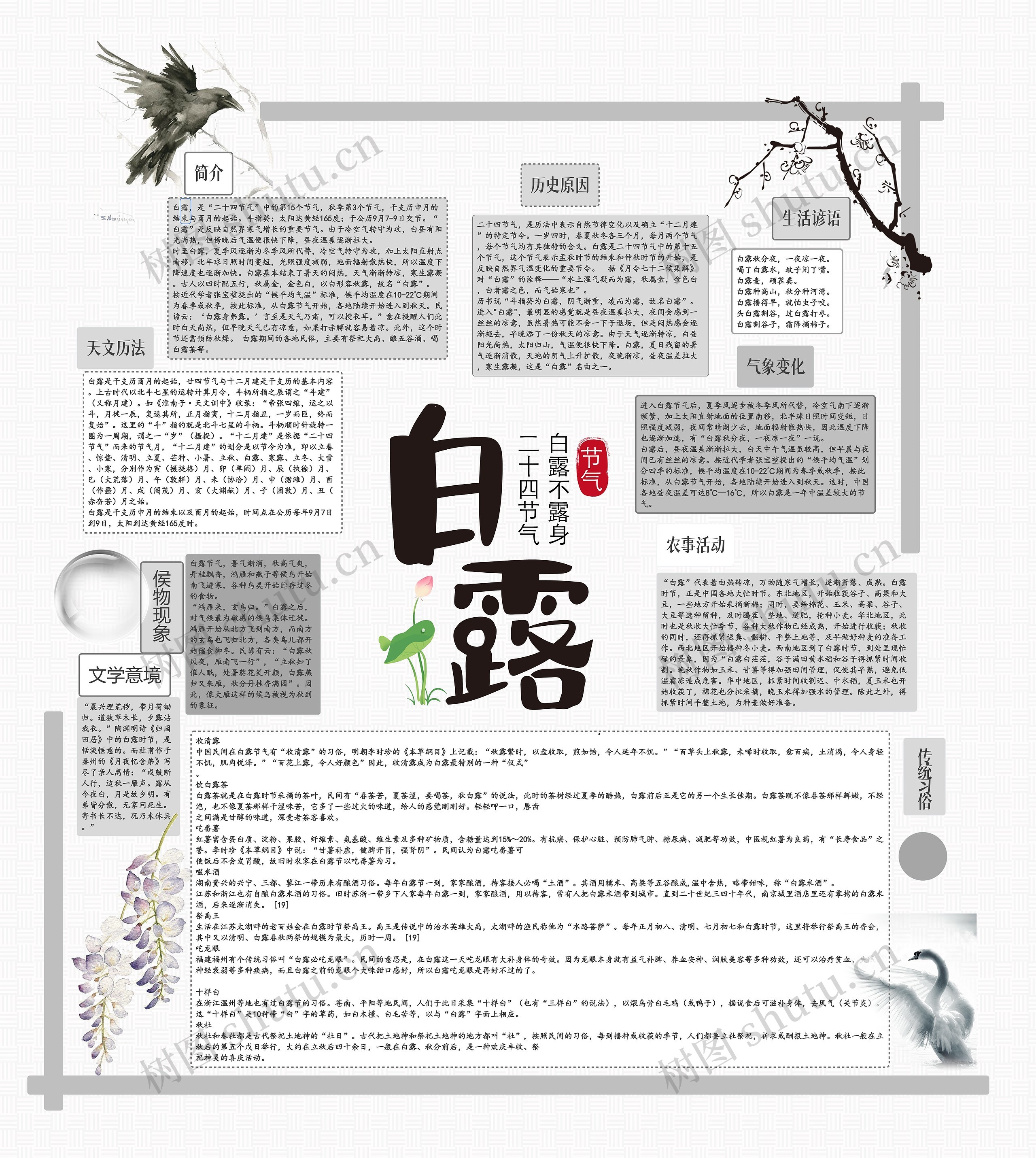 白露手抄报思维导图高清图 白露手抄报思维导图