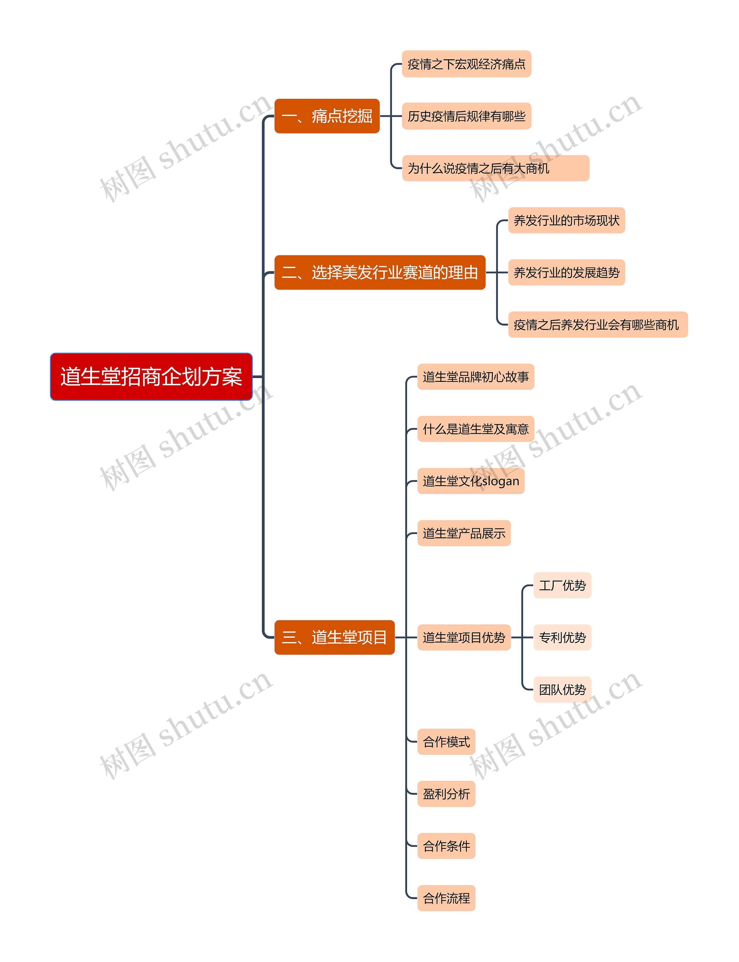 道生堂招商企划方案思维导图高清图 道生堂招商企划方案思维导图
