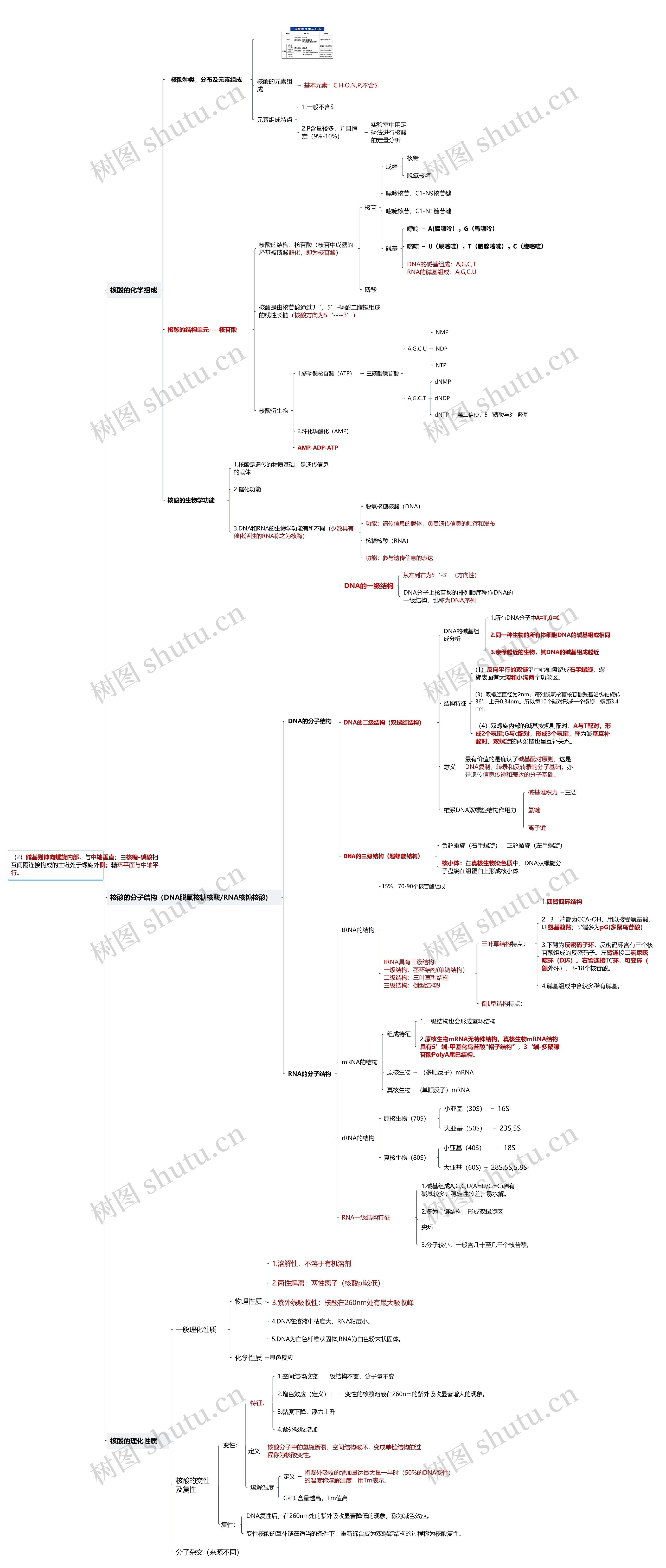 ﻿核酸化学思维导图