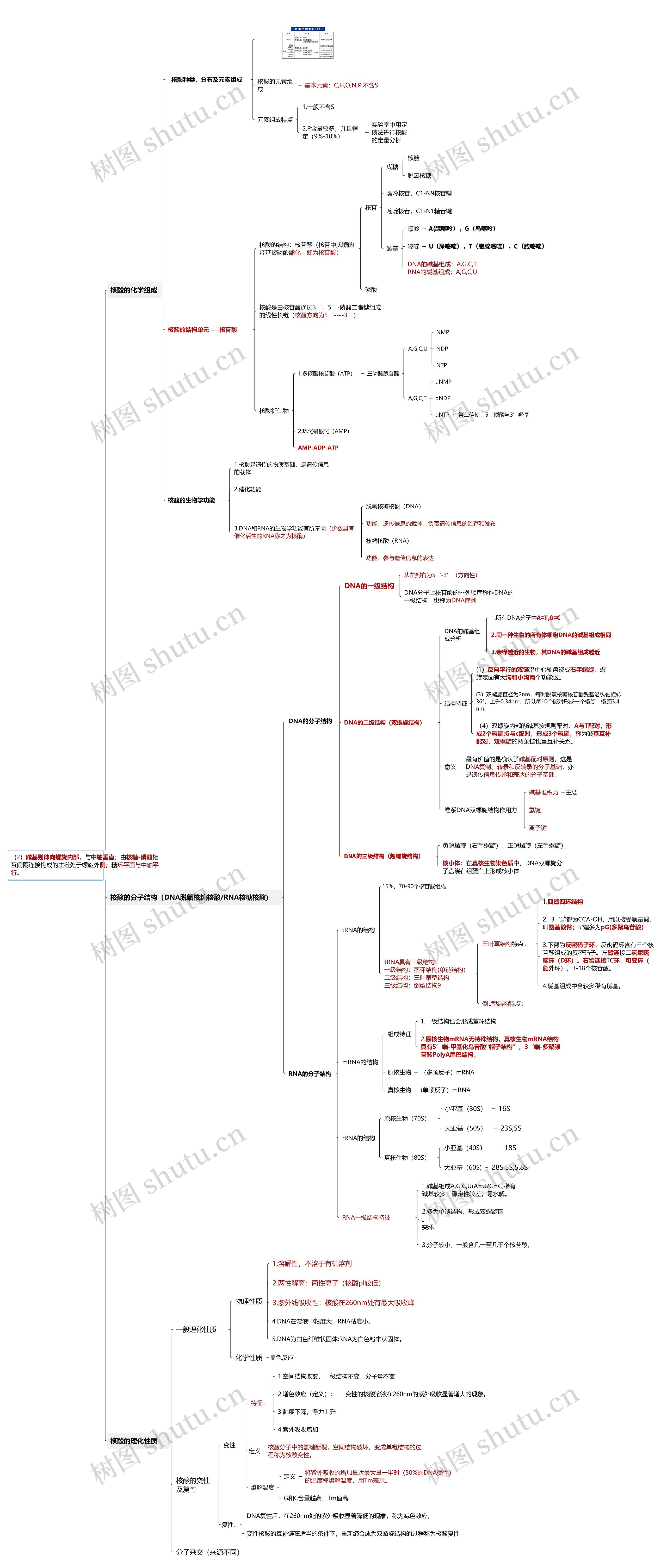 核酸化学思维导图高清图 核酸化学思维导图