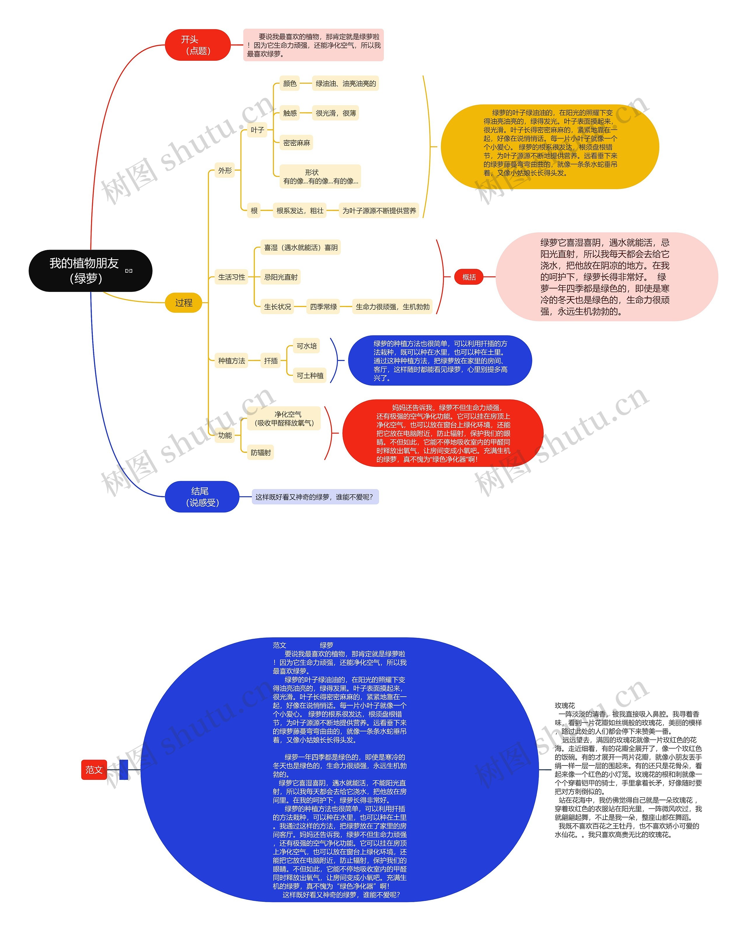 我的植物朋友（绿萝）三下第一单元作文思维导图