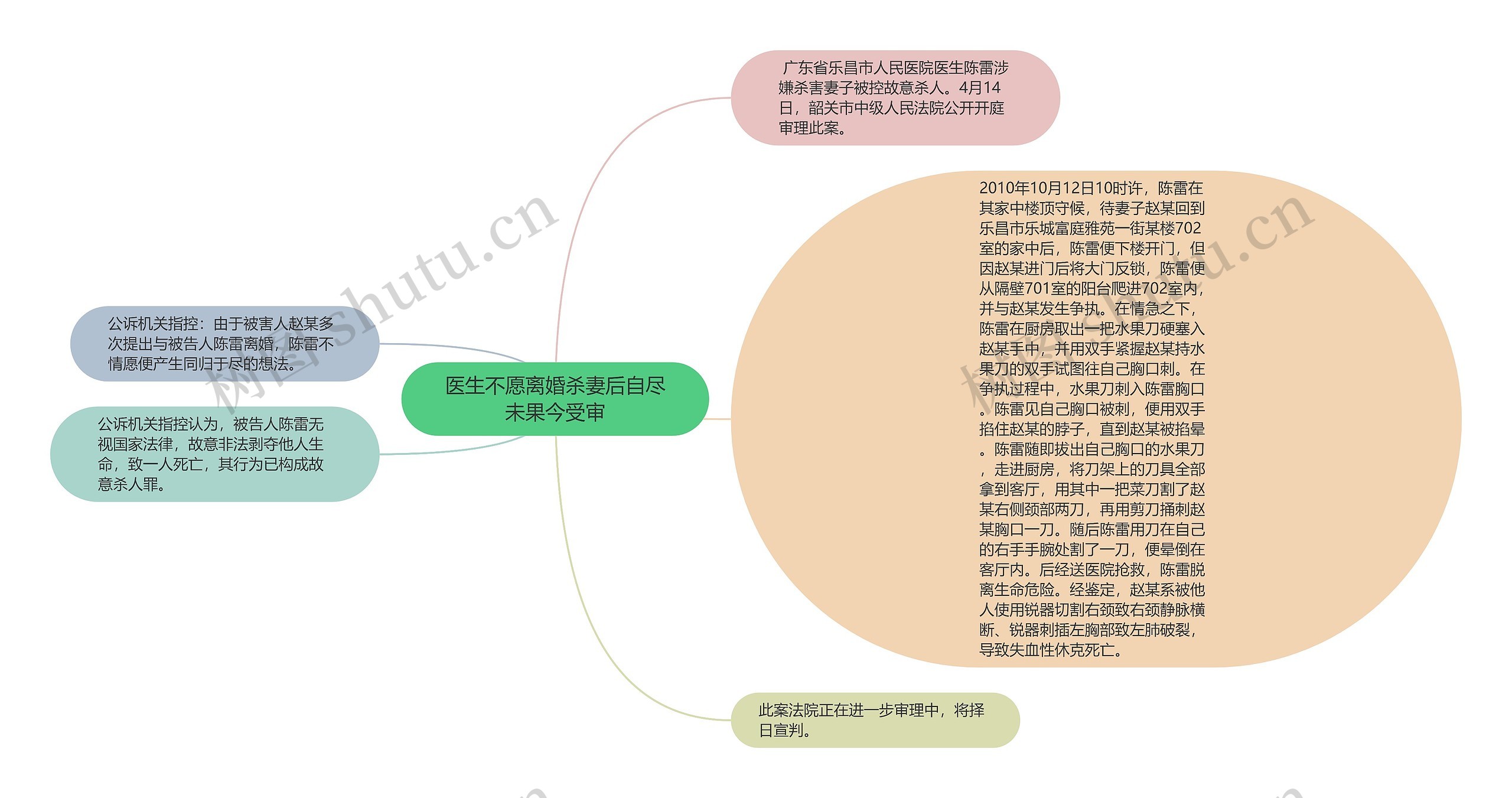 医生不愿离婚杀妻后自尽未果今受审思维导图