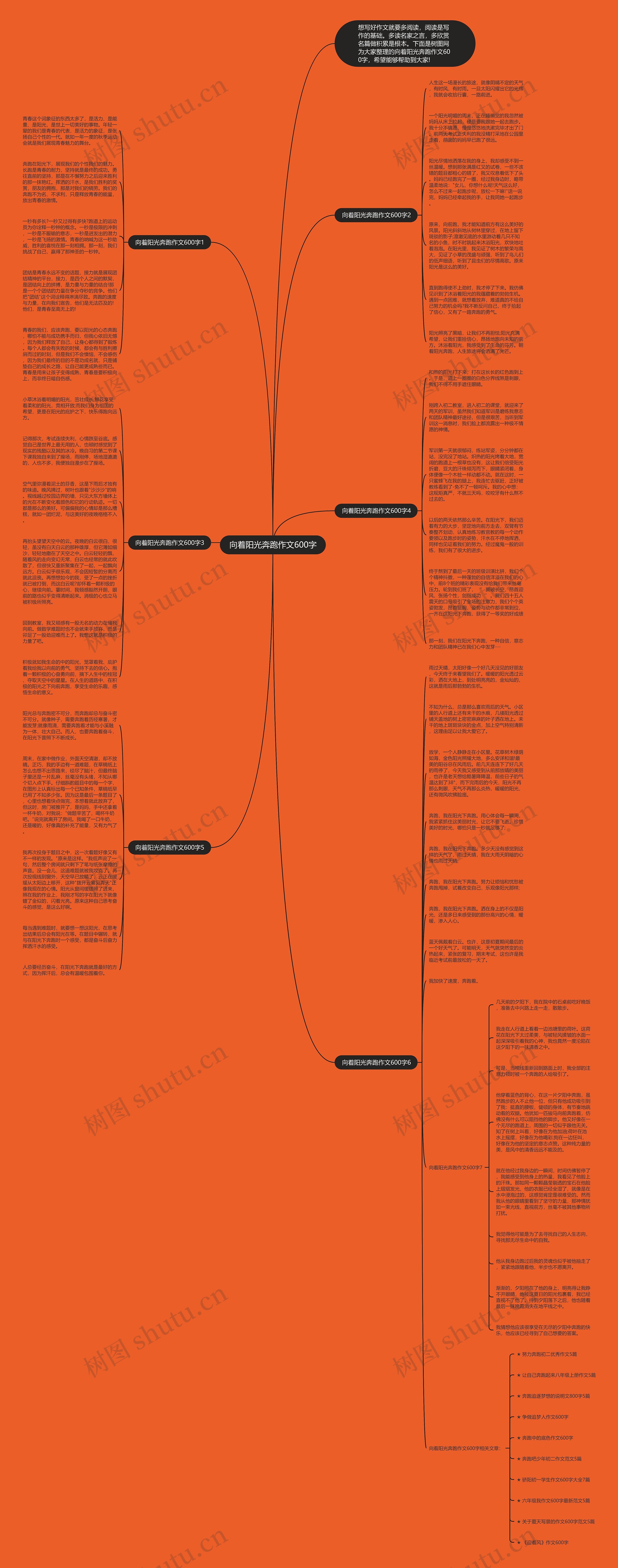 向着阳光奔跑作文600字思维导图