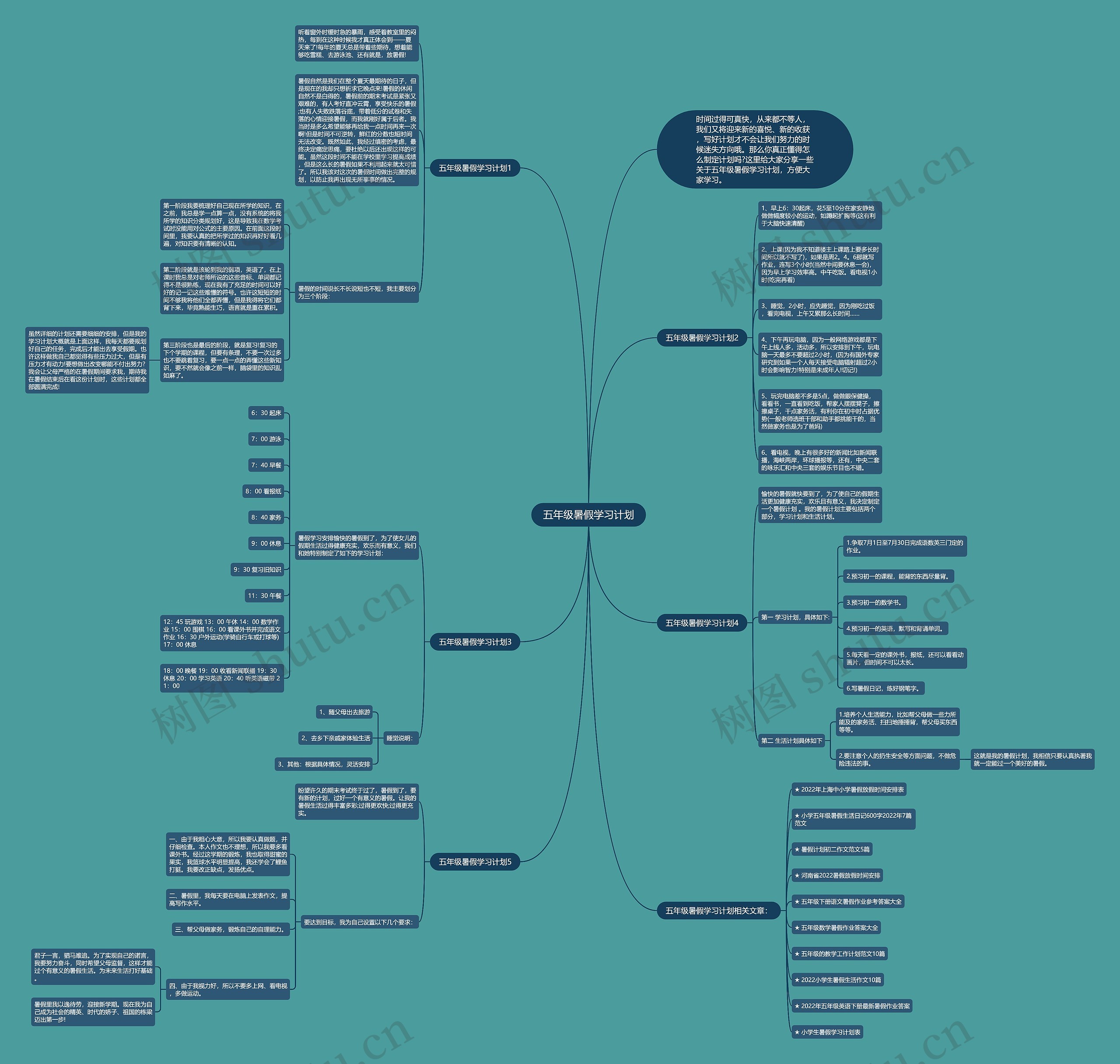 五年级暑假学习计划思维导图