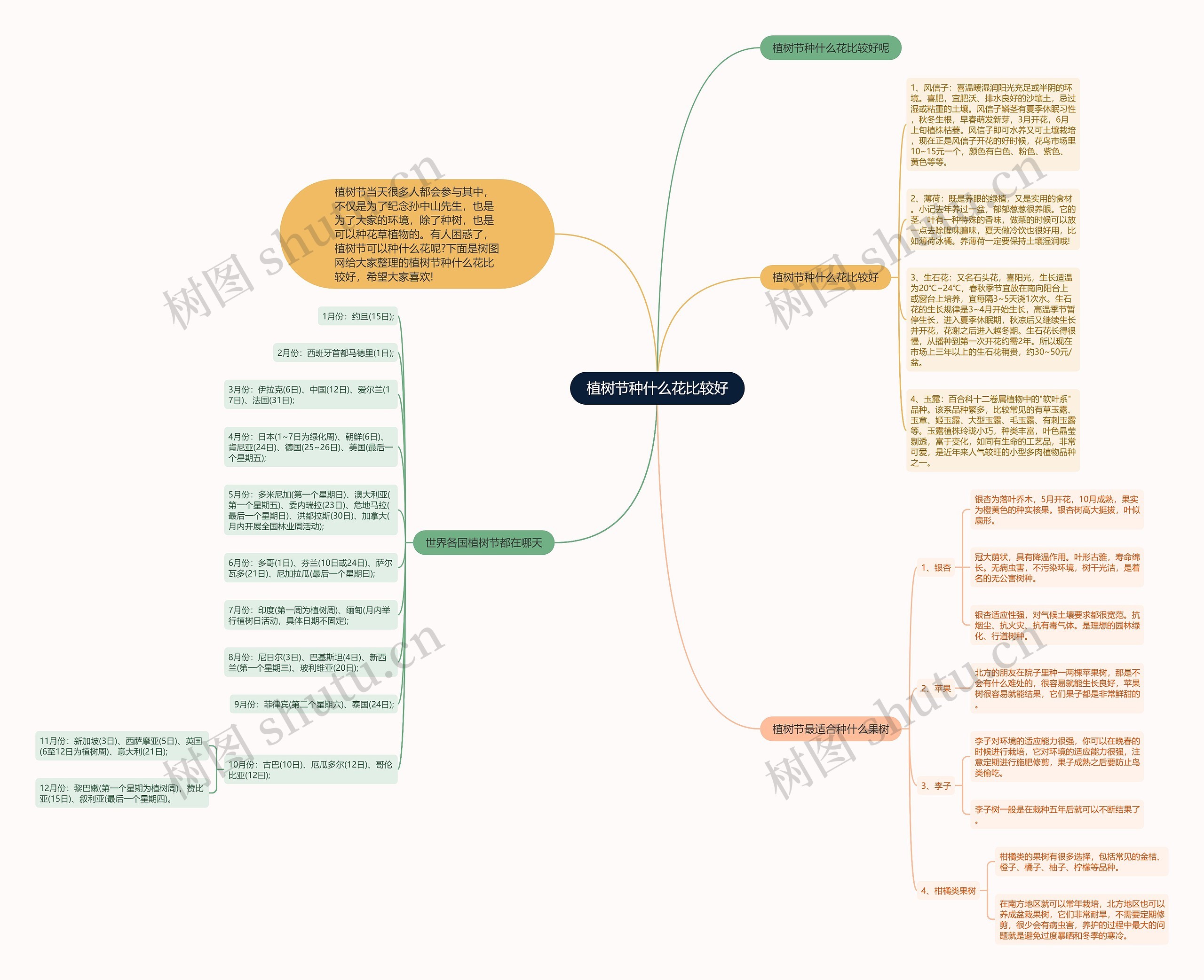 植树节种什么花比较好思维导图